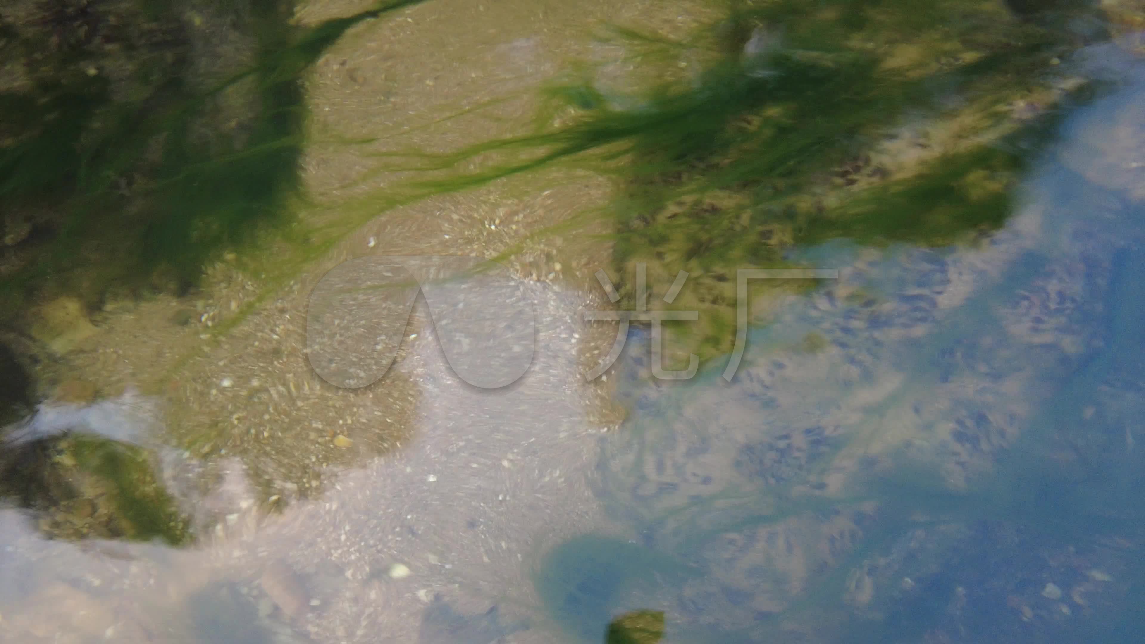 水中青苔