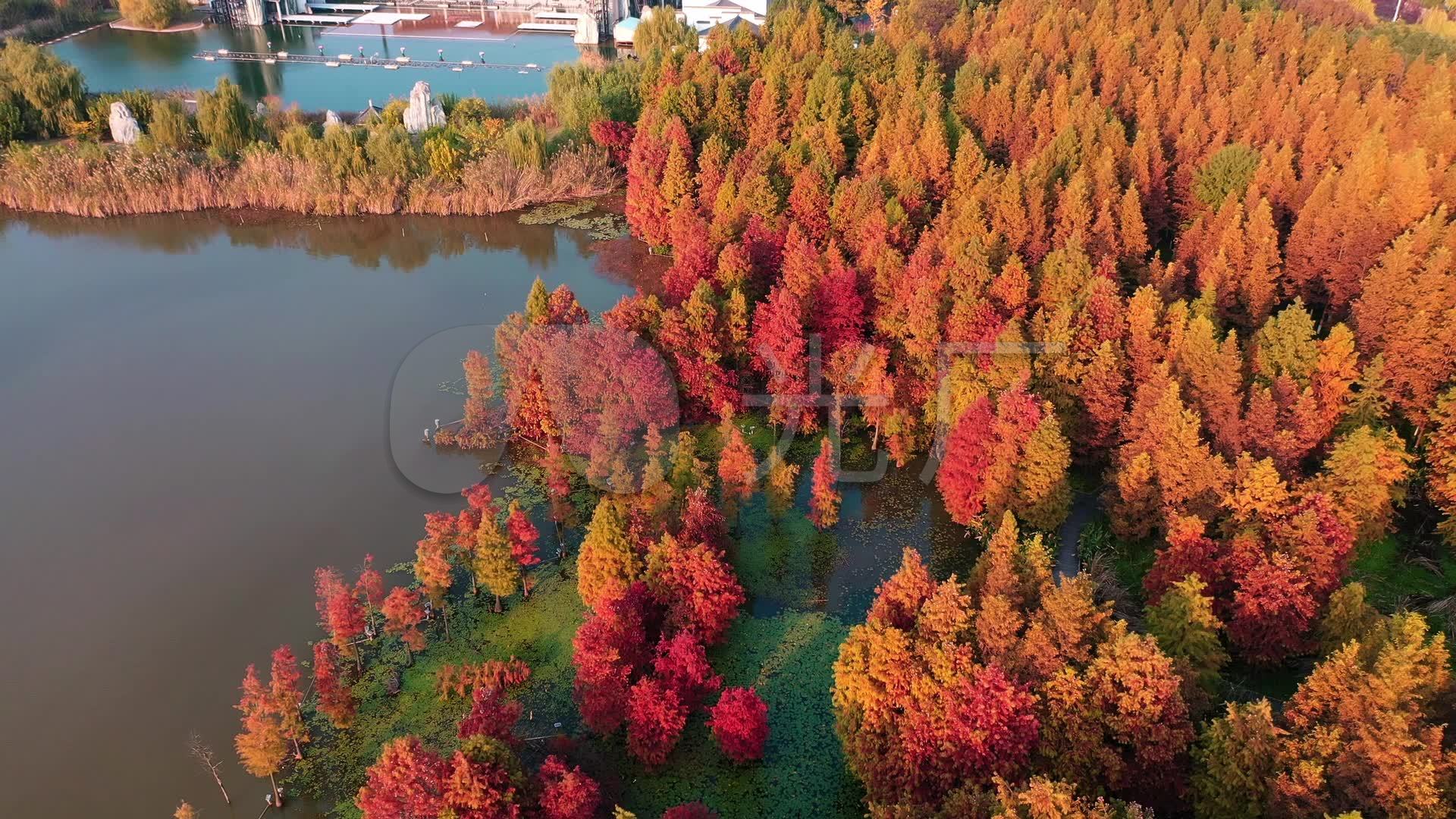 金山湖湿地公园