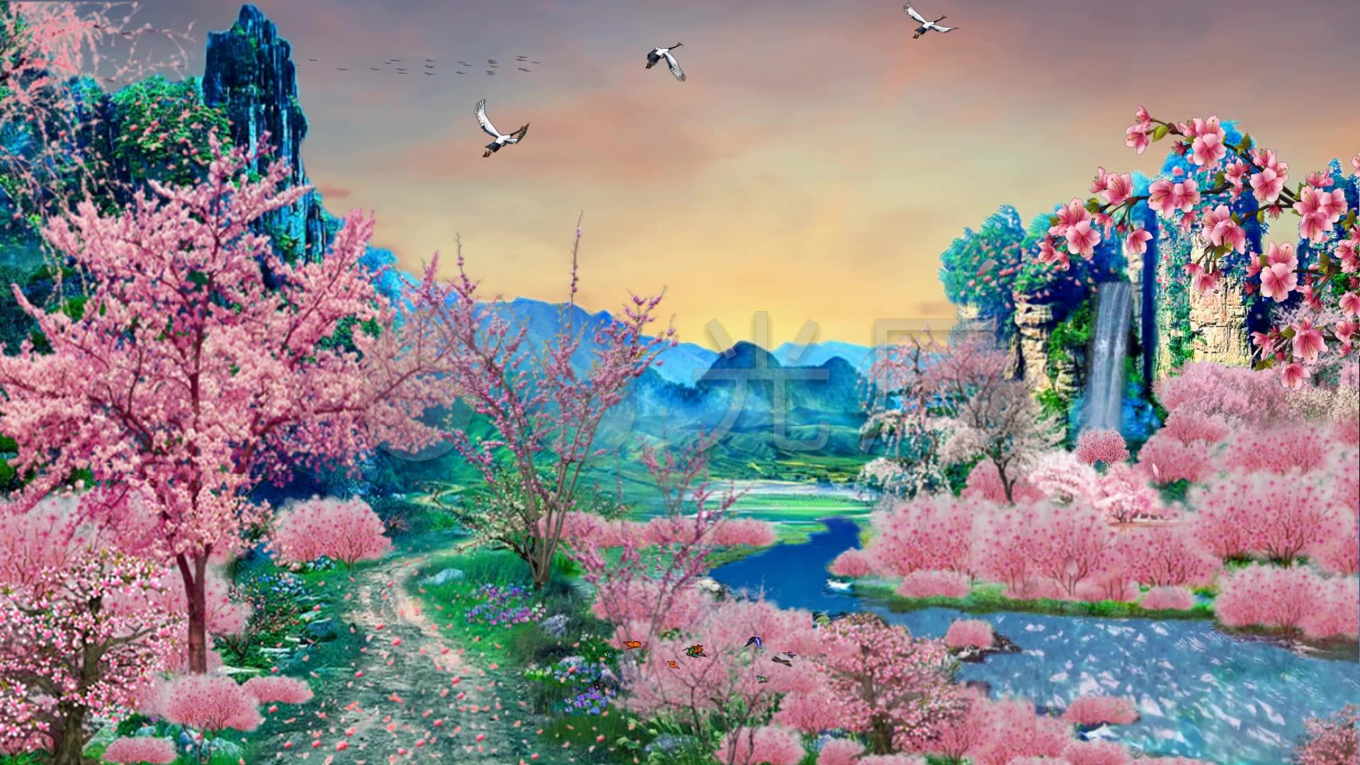 唯美桃树林桃花林_1920x1080_高清视频素材下载(编号:5192289)_舞台
