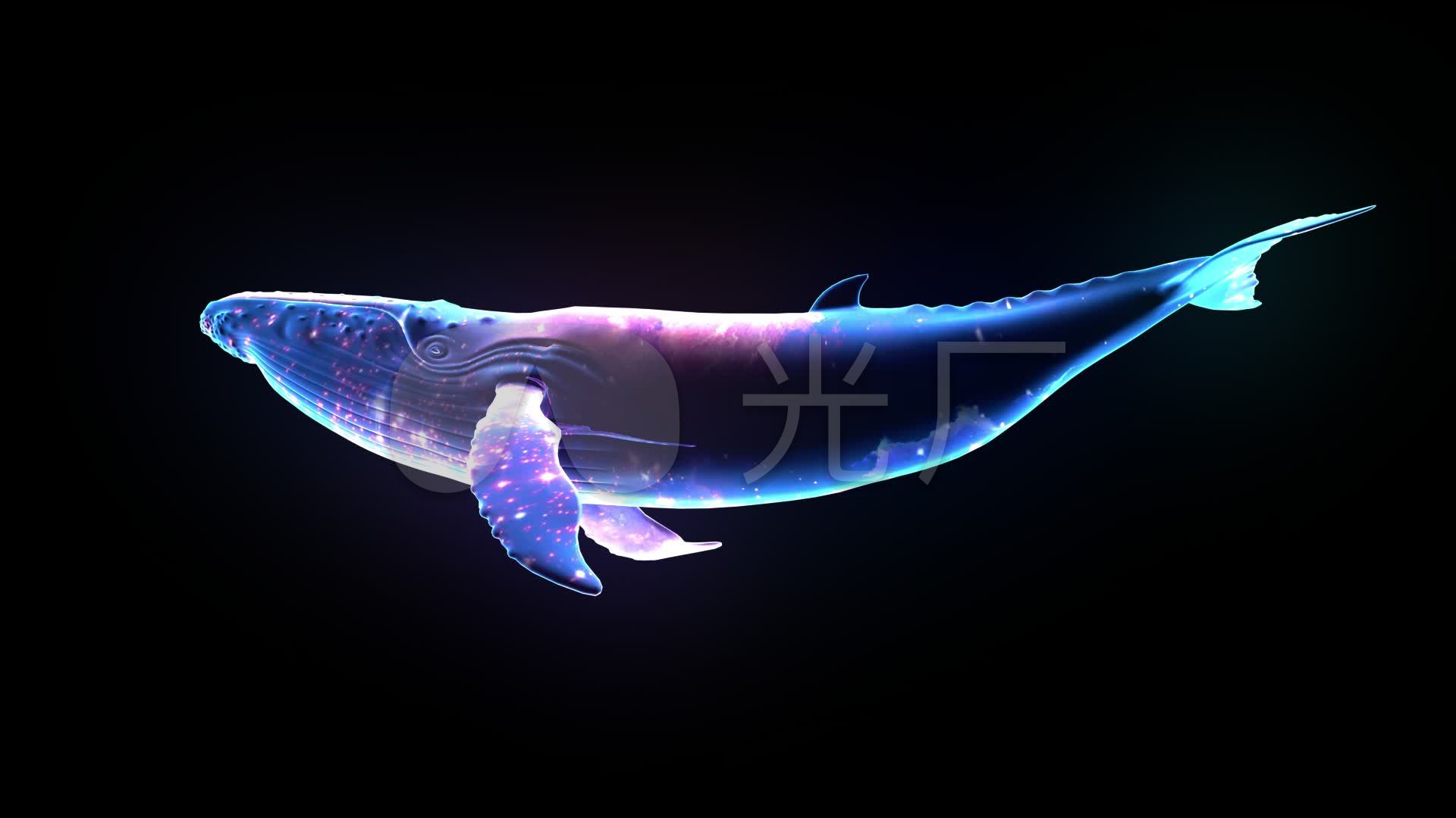 星空鲸鱼