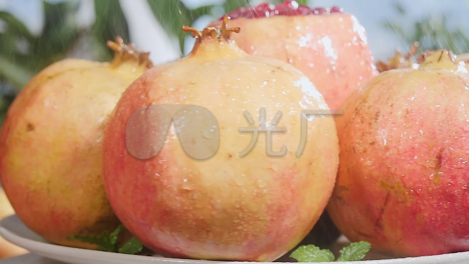 红珍珠石榴_1920x1080_高清视频素材下载(编号:5211819)_实拍视频_vj