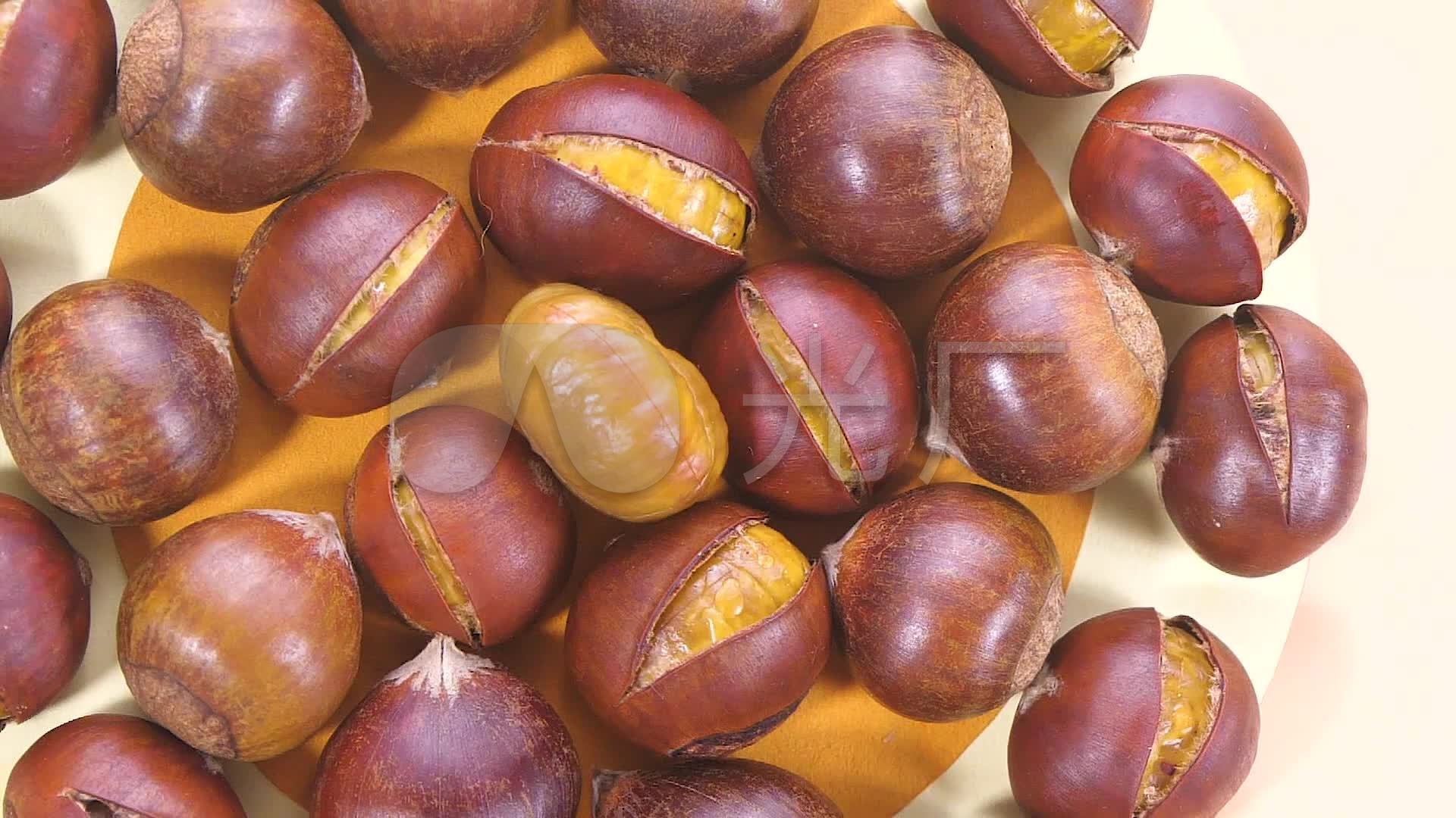 板栗视频_1920x1080_高清视频素材下载(编号:5211352)