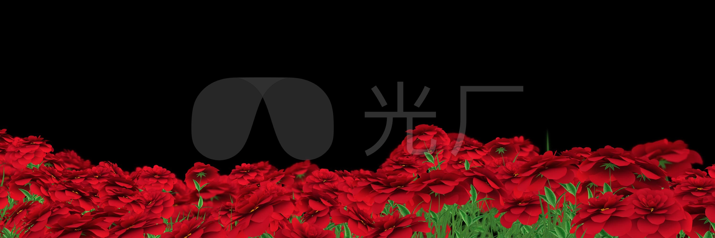玫瑰花素材_3000x1000_高清视频素材下载(编号:)_影视
