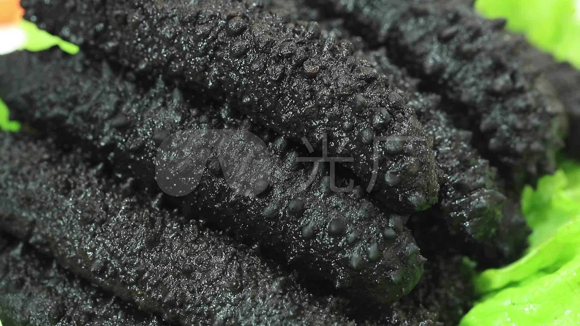 黑海参_1920x1080_高清视频素材下载(编号:5239283)
