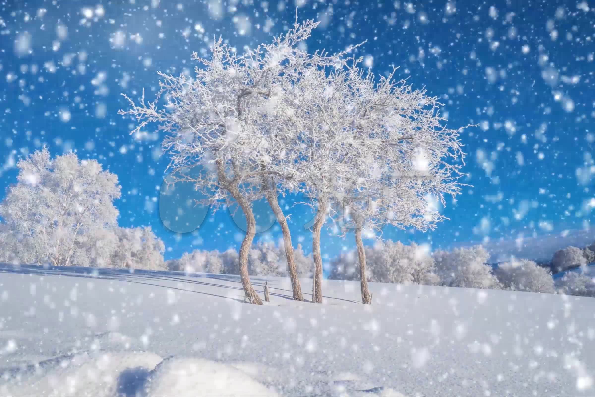 冬天下雪风景景色(5)