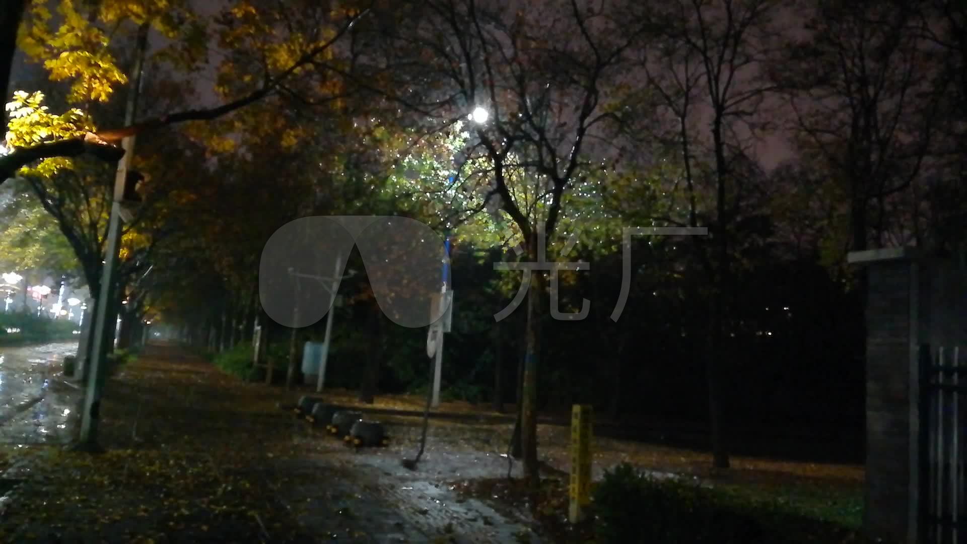 原创城市秋天夜晚下雨地上的落叶_1920x1080_高清视频