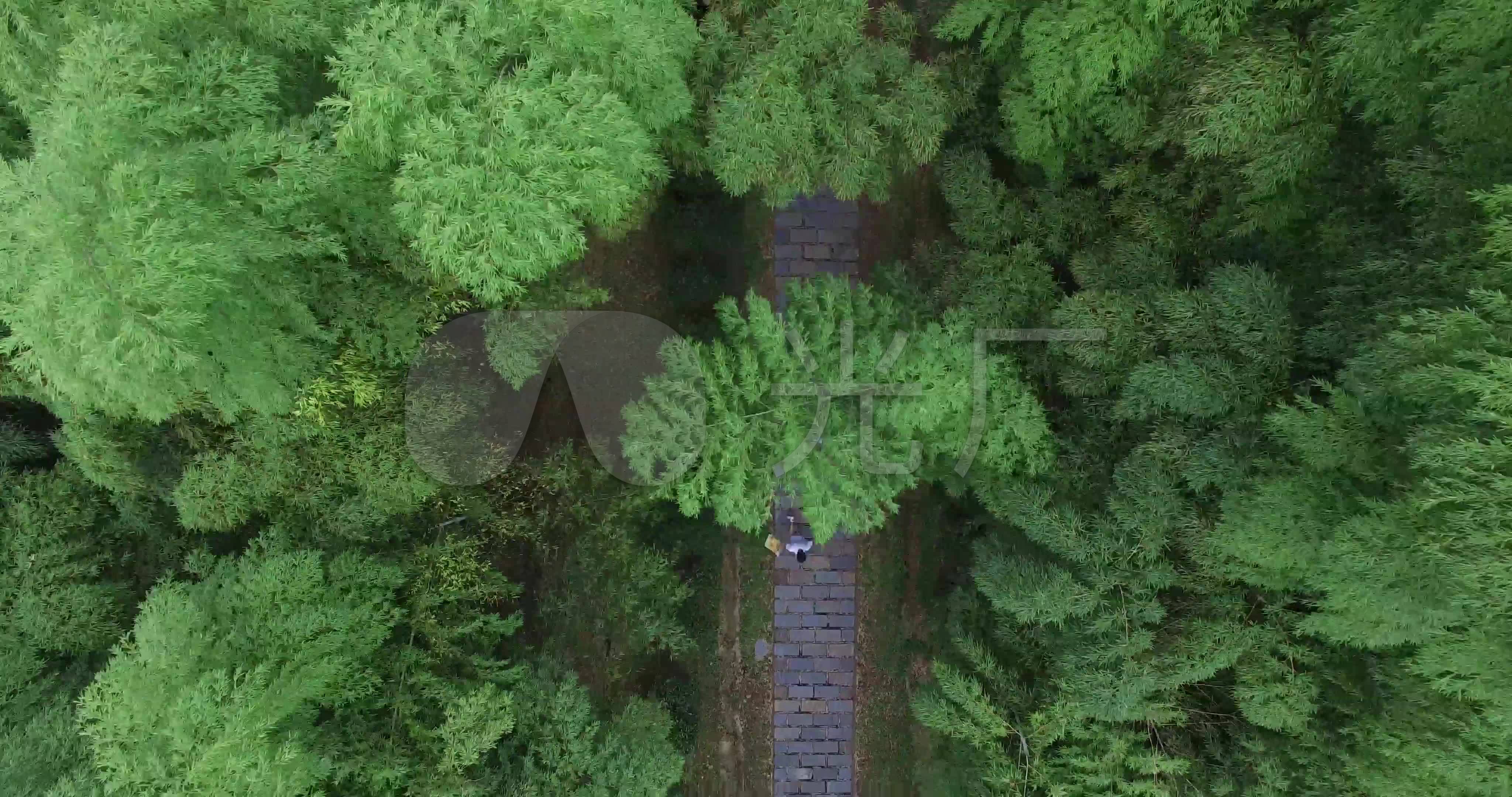 竹林4k航拍素材垂直俯拍人在竹林小道奔跑_4096x2160_高清视频素材