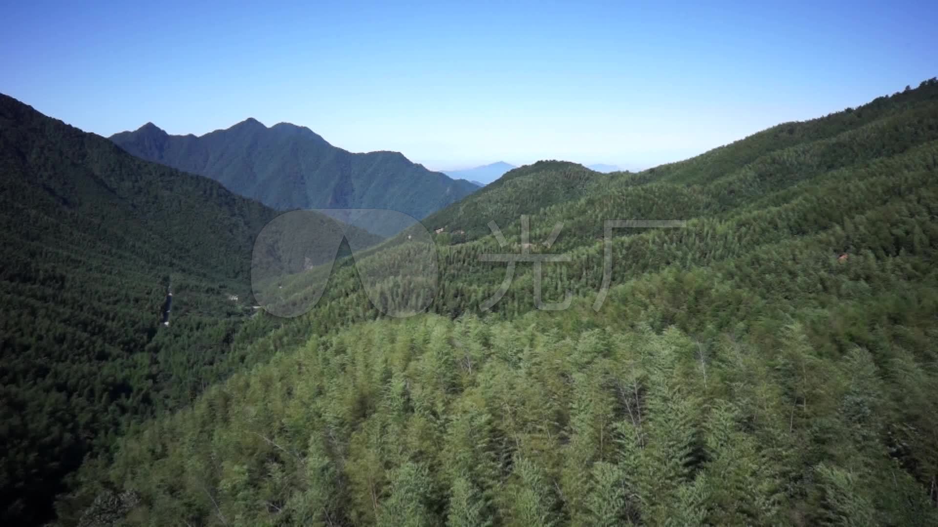 森林资源(毛竹山林场)_1920x1080_高清视频素材下载(编号:5272588)