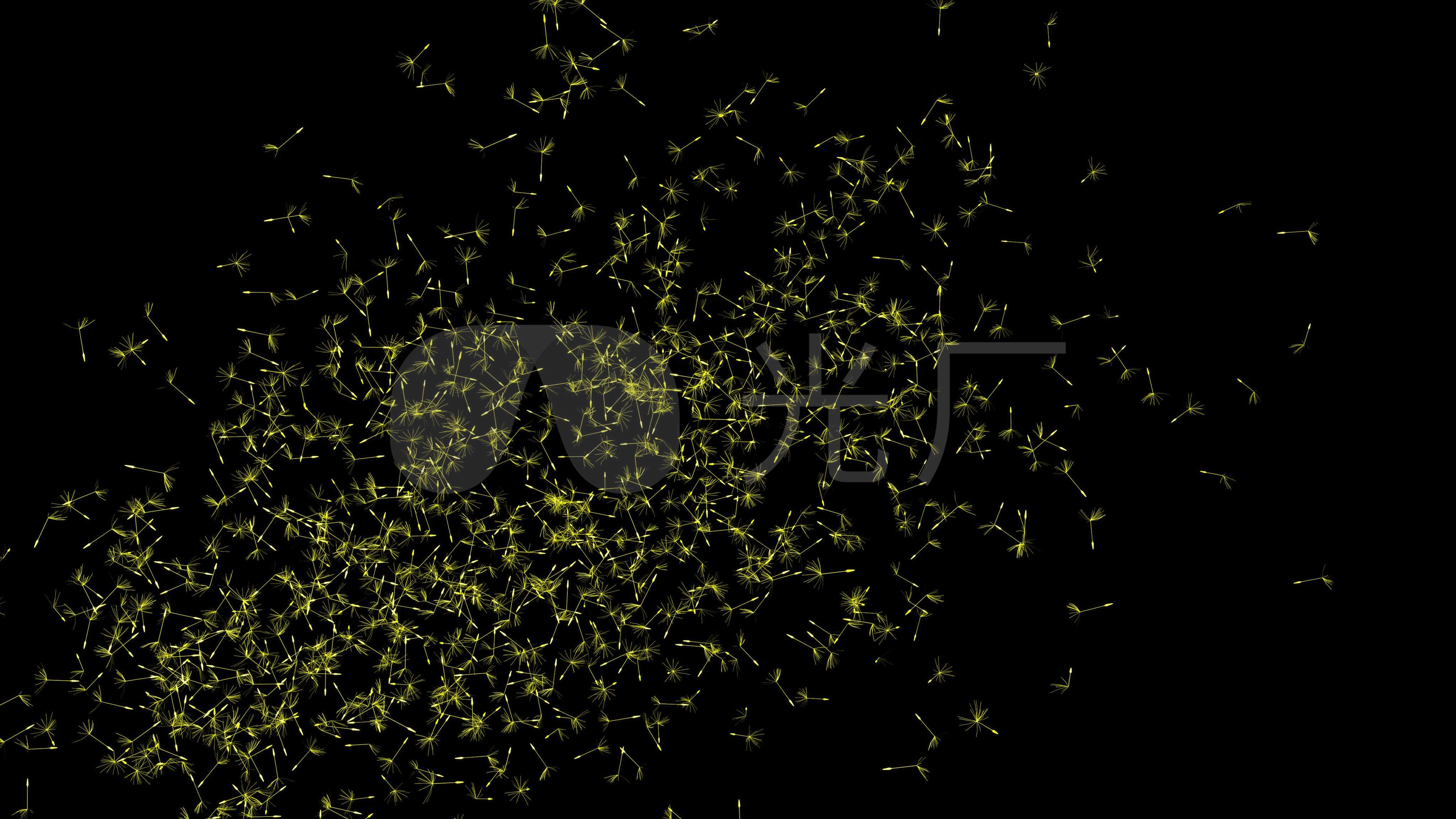 金色蒲公英粒子飘散