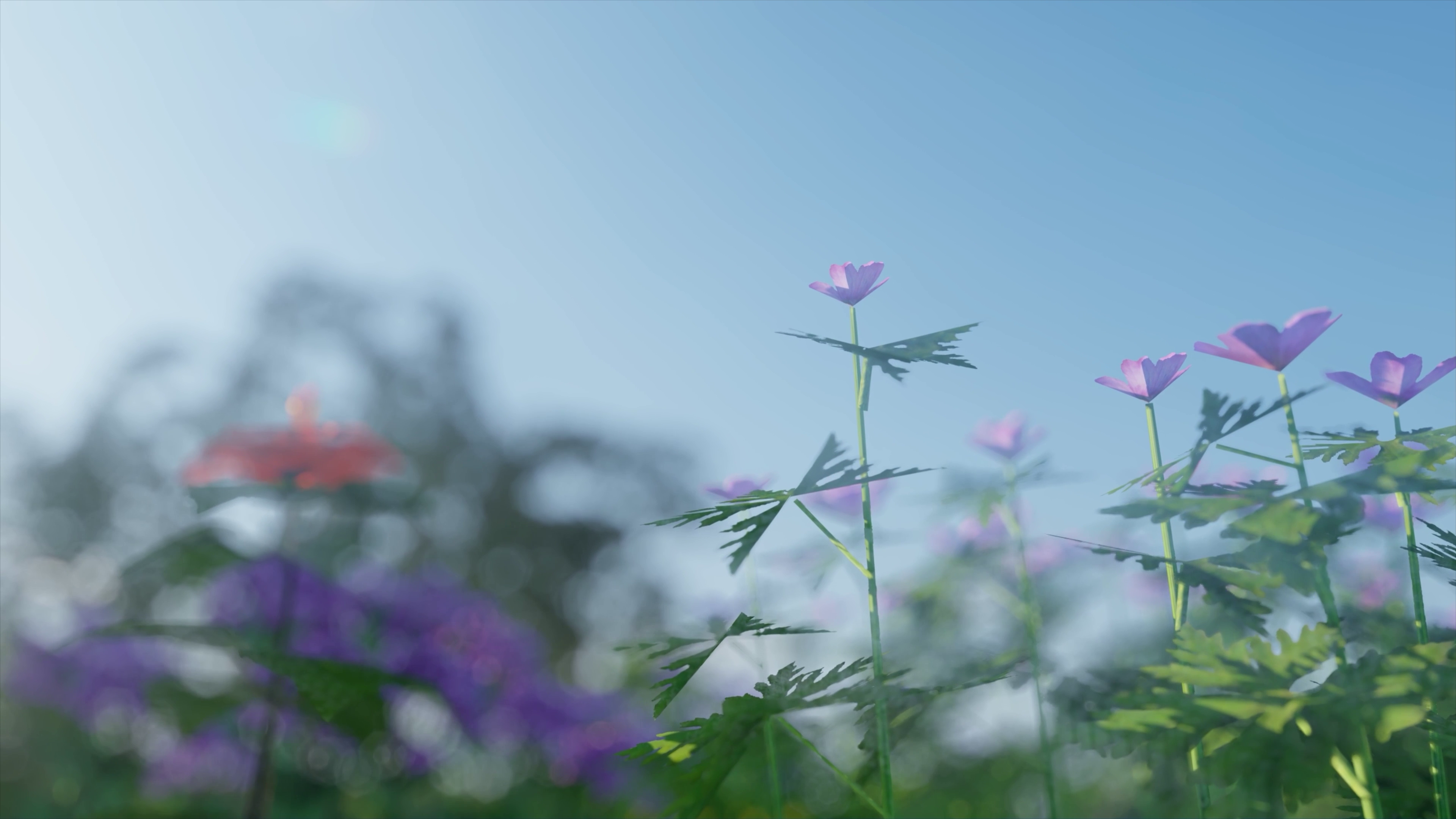 4k高清唯美清新逆光拍摄花草树木原创商用阳光灿烂环保生态树枝光影