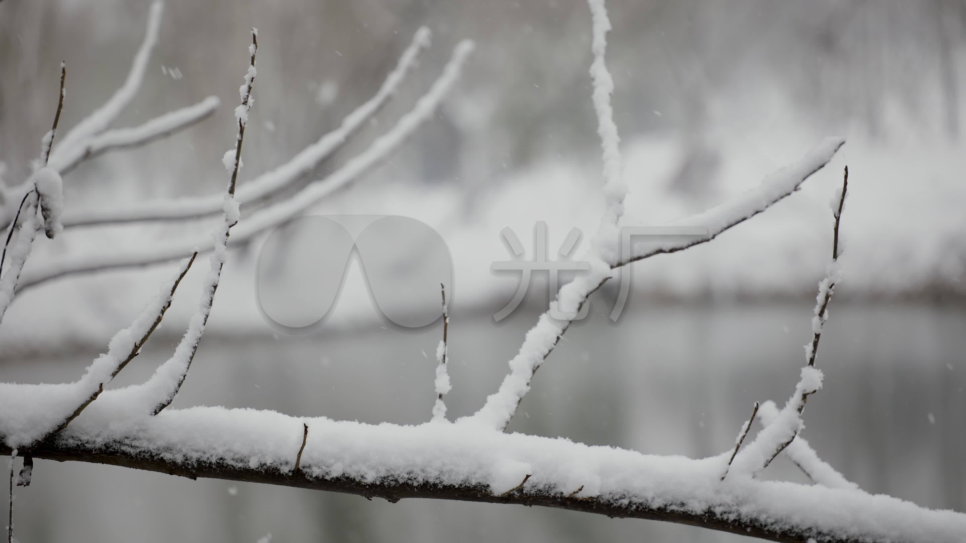 下雪时的枯萎的树枝特写4k_3840x2160_高清视频素材