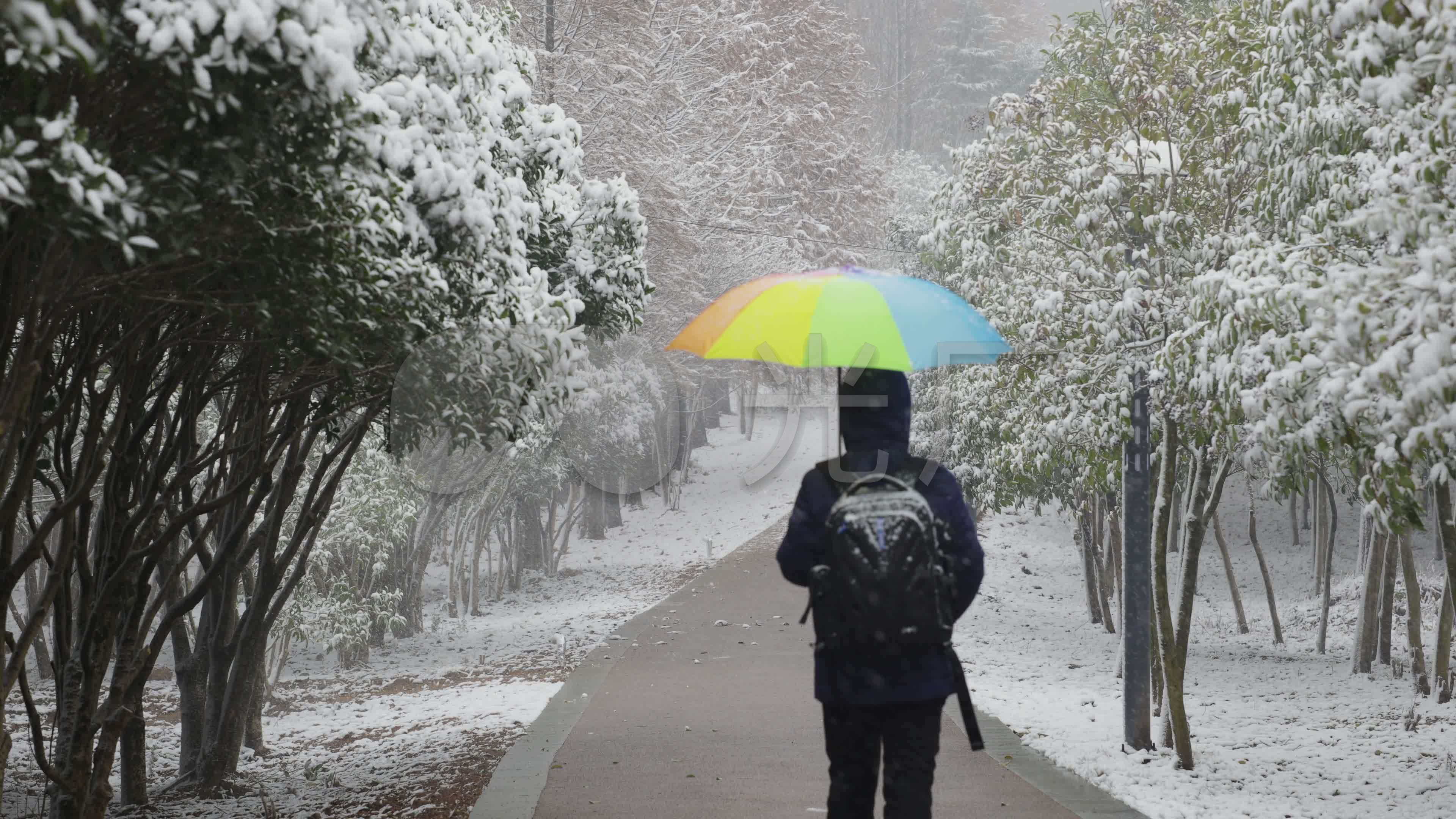 下雪时的打伞走在路上的人物背影