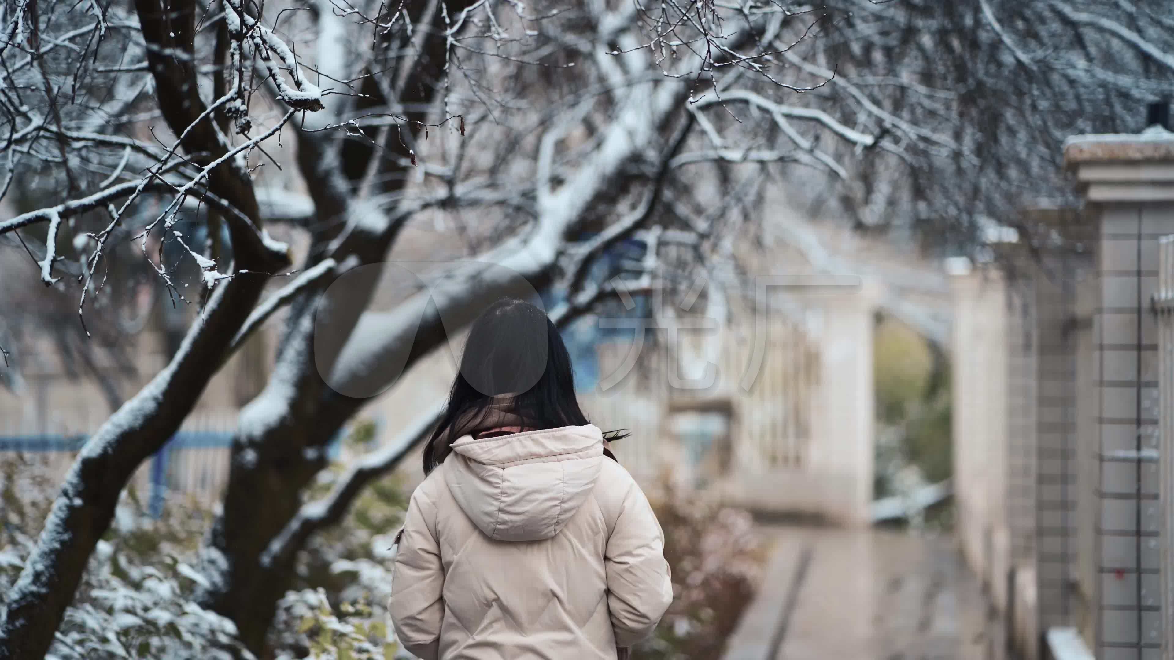 冬天雪景意境远去背影雪花飘落失恋孤单背影
