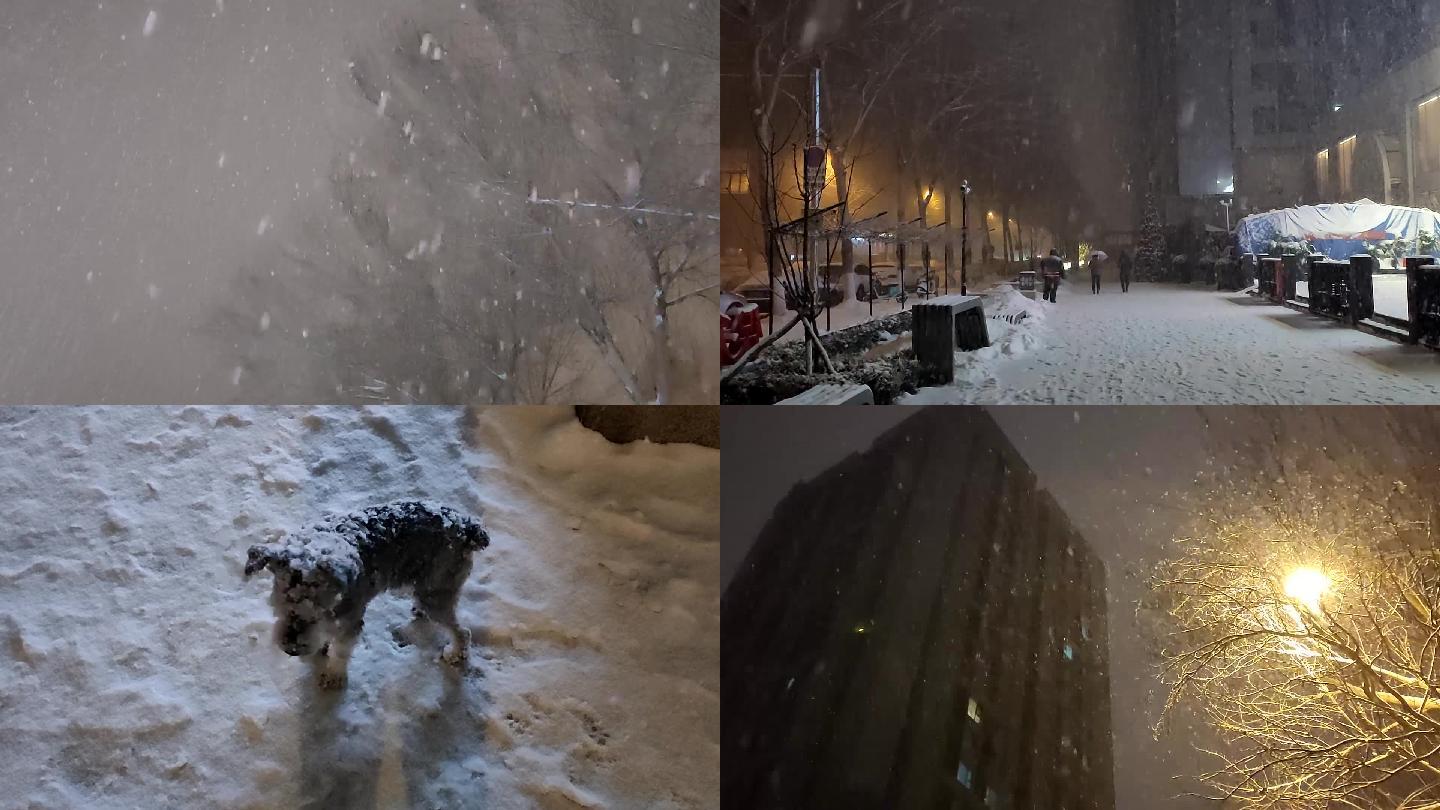 下雪天暴雪阵雪