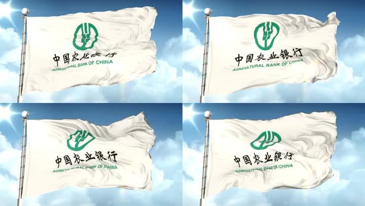 申请vjshi网帮我买单