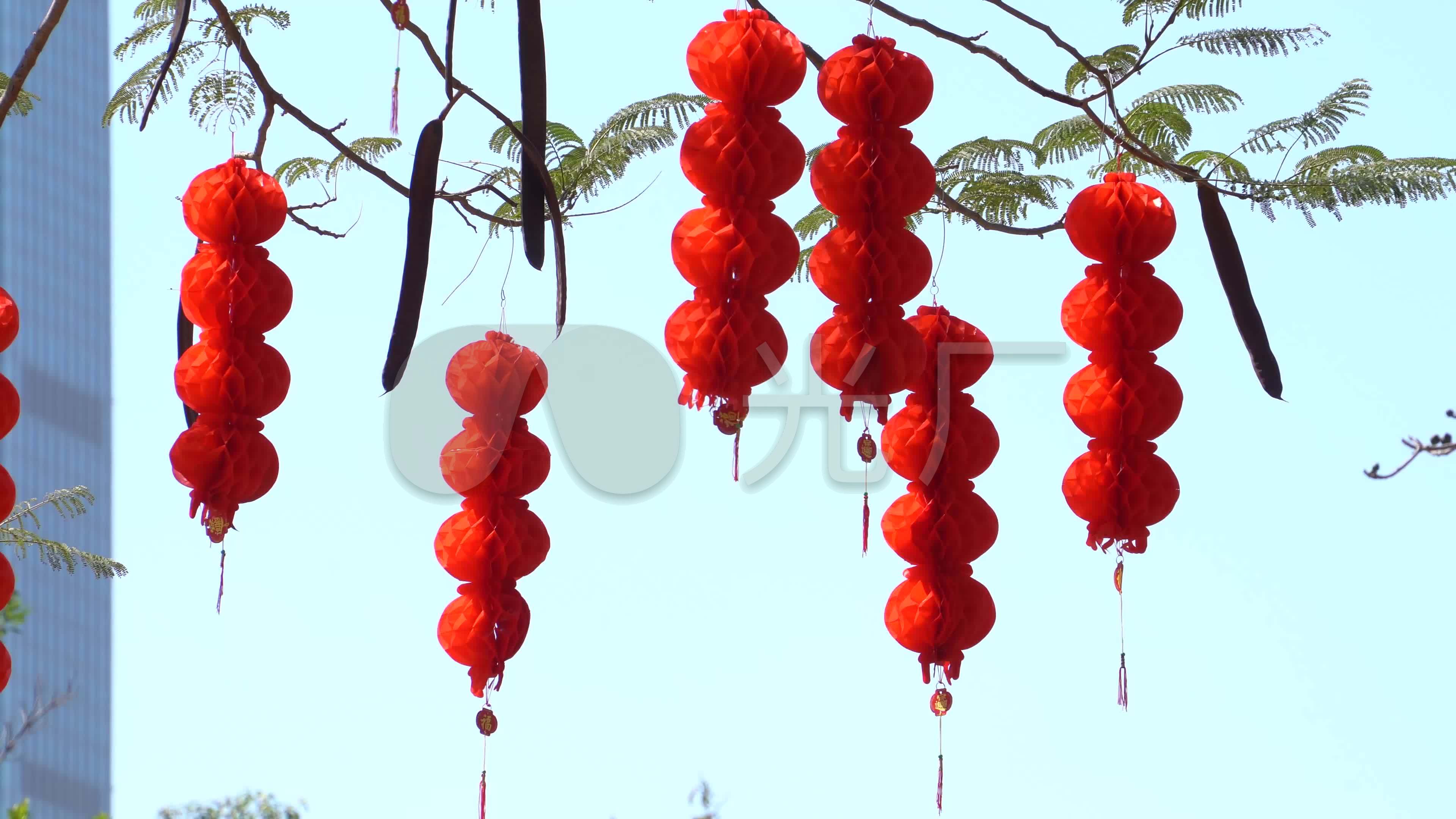 树上挂满一串串红灯笼4k超清视频