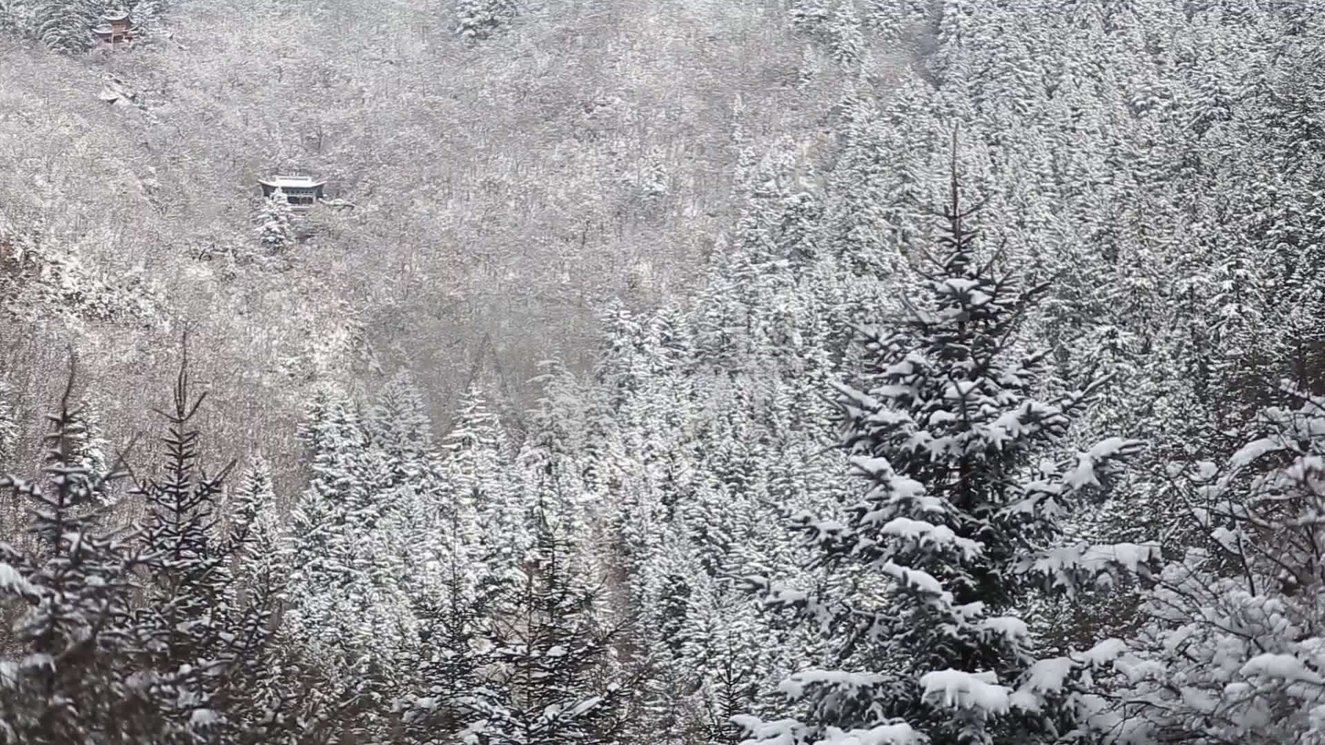 冬季雪景冰雪融化白雪特写