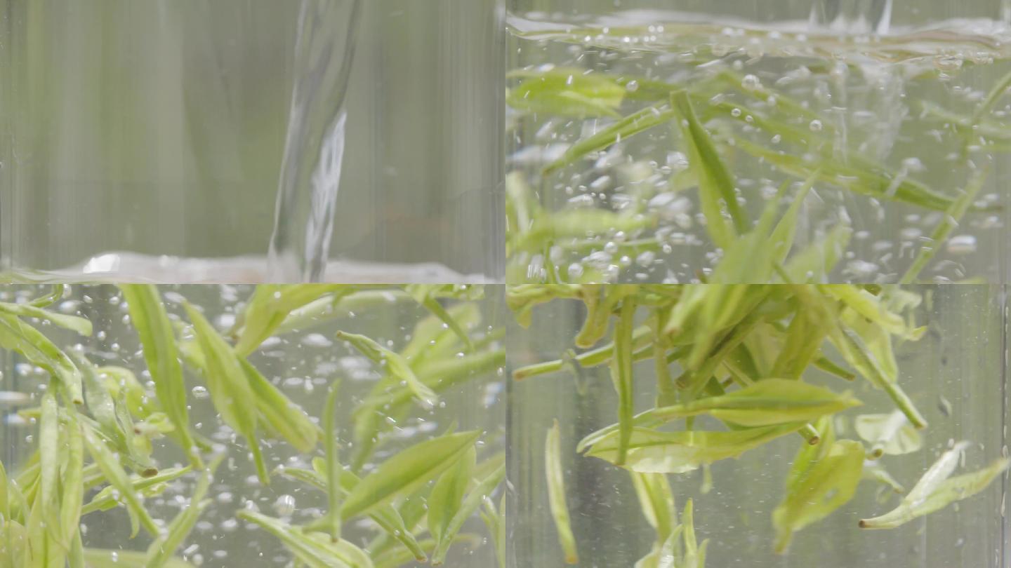 春茶玻璃杯泡茶茶叶龙井升格实拍s