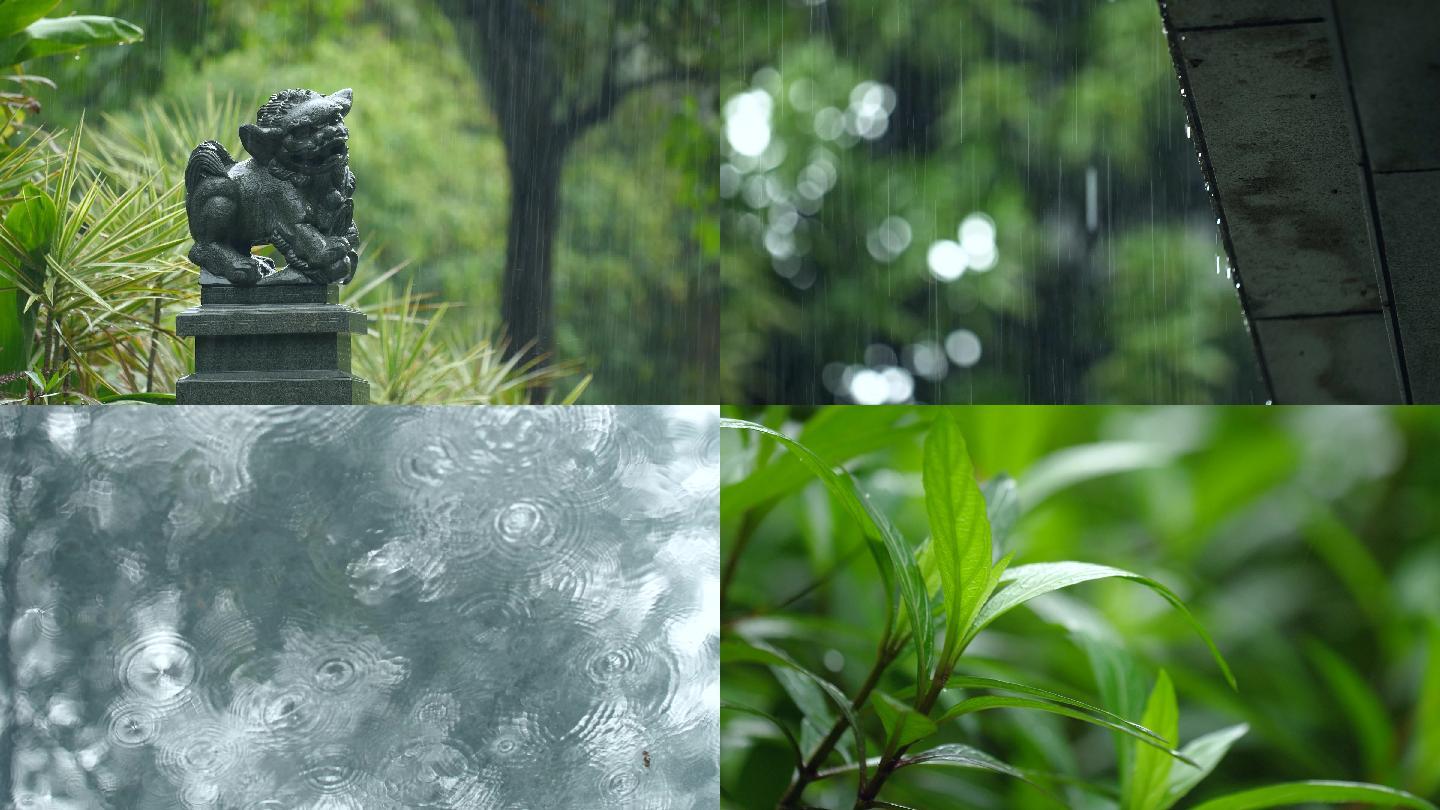 春天下雨唯美清新空镜雨景4k视频素材