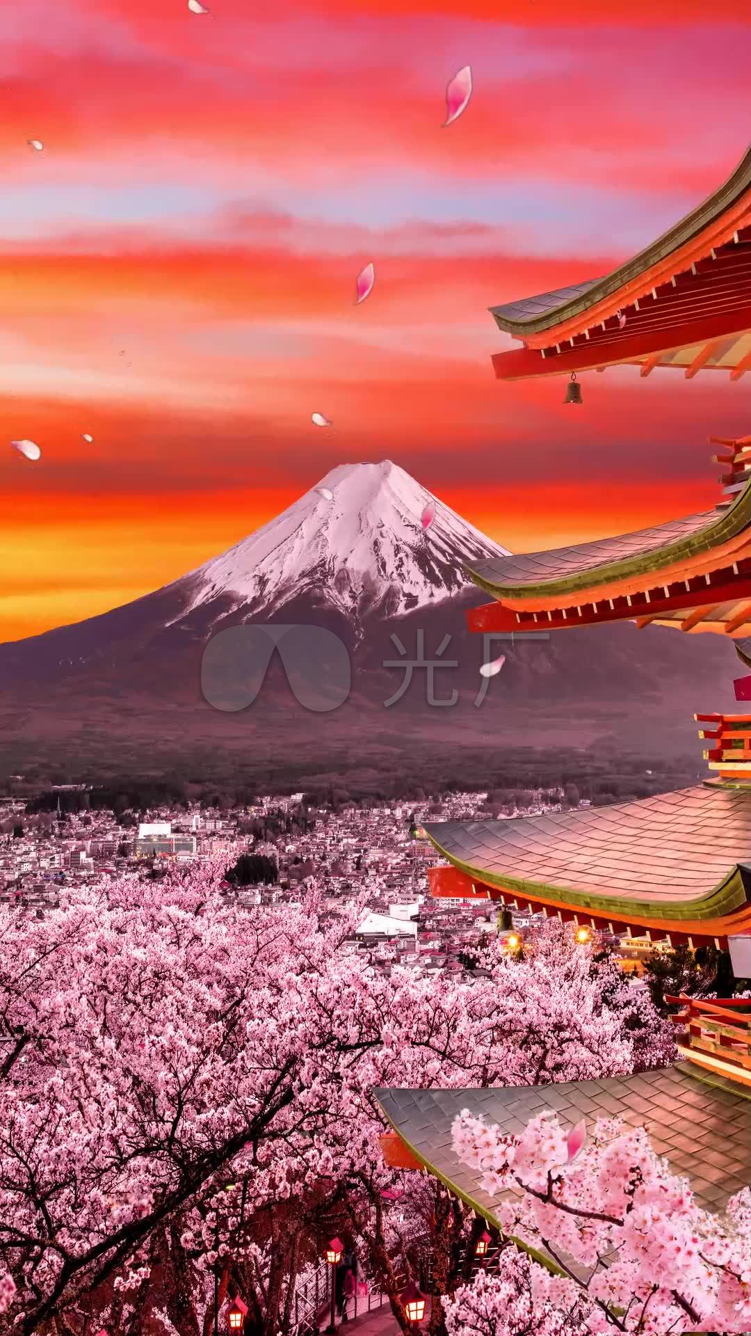 富士山樱花美景