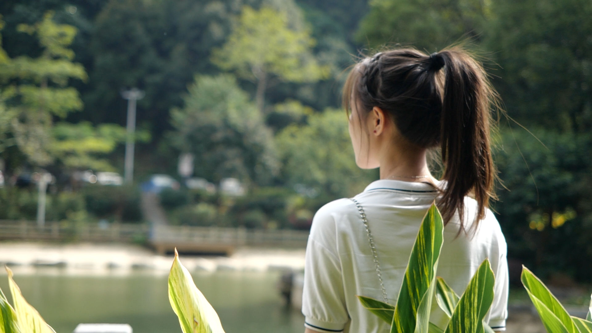 键盘左右键也可以翻页哟画质举报 唯美女孩女的女生青春路走路背影
