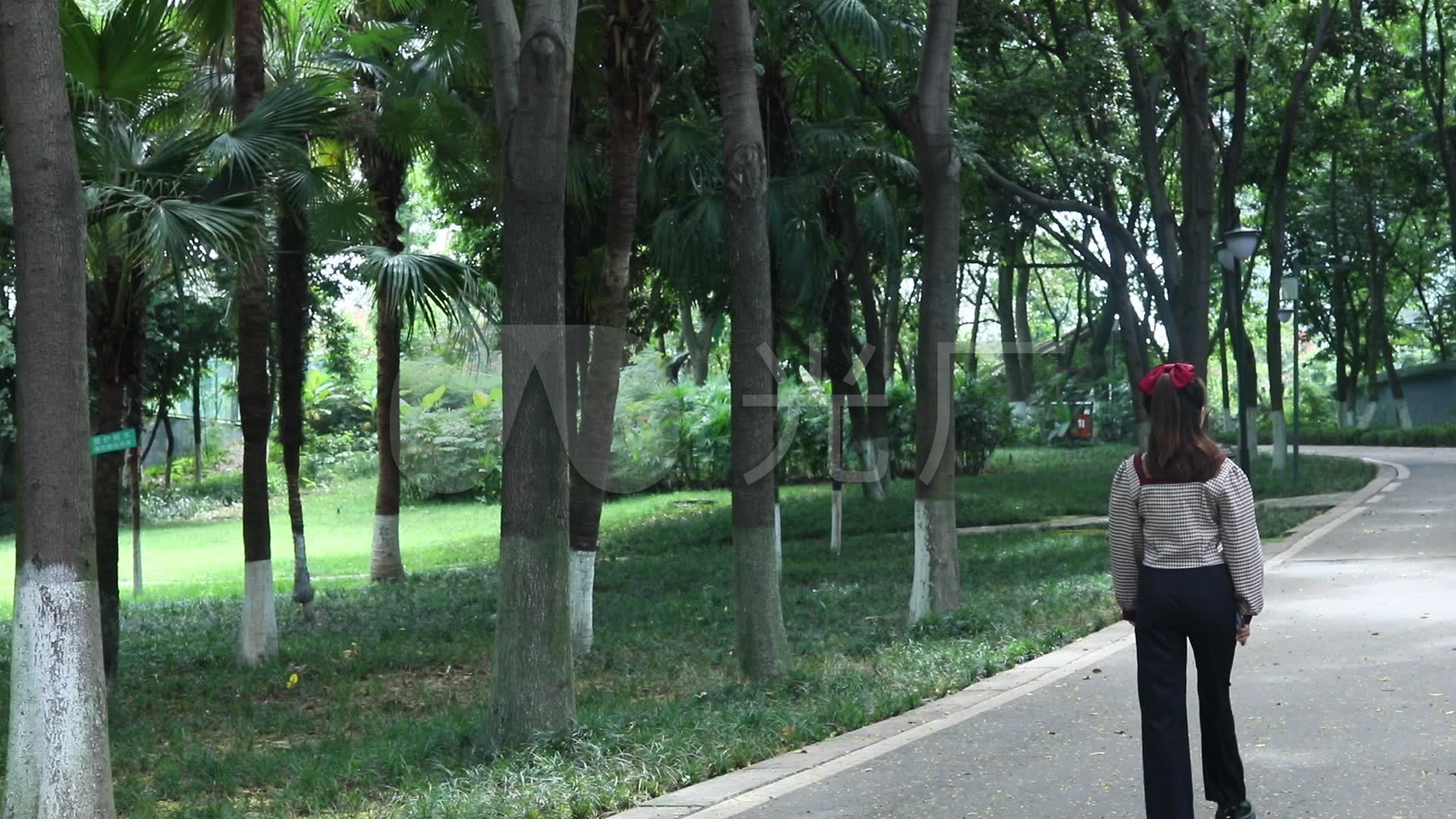 美女背影_1920x1080_高清视频素材下载(编号:5583531)