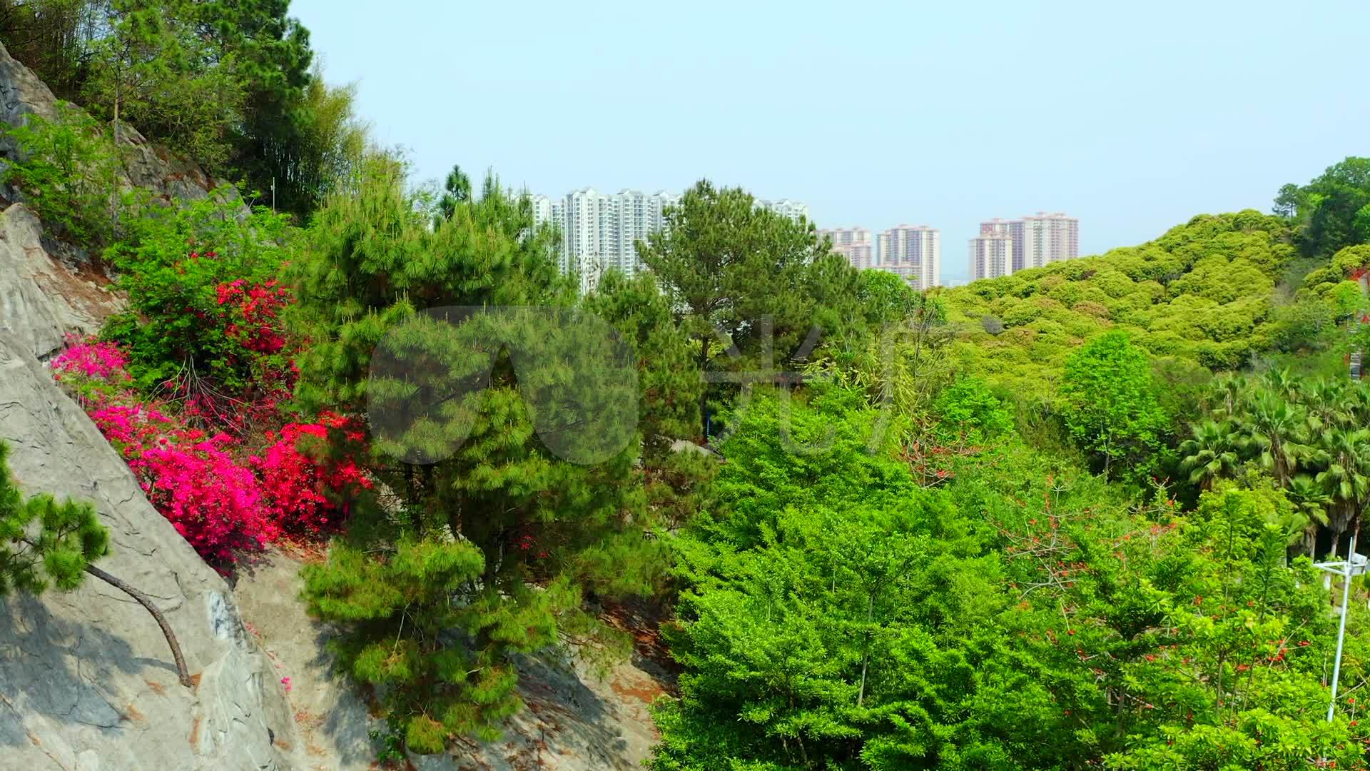 超值航拍广西贵港市平南县龚州公园