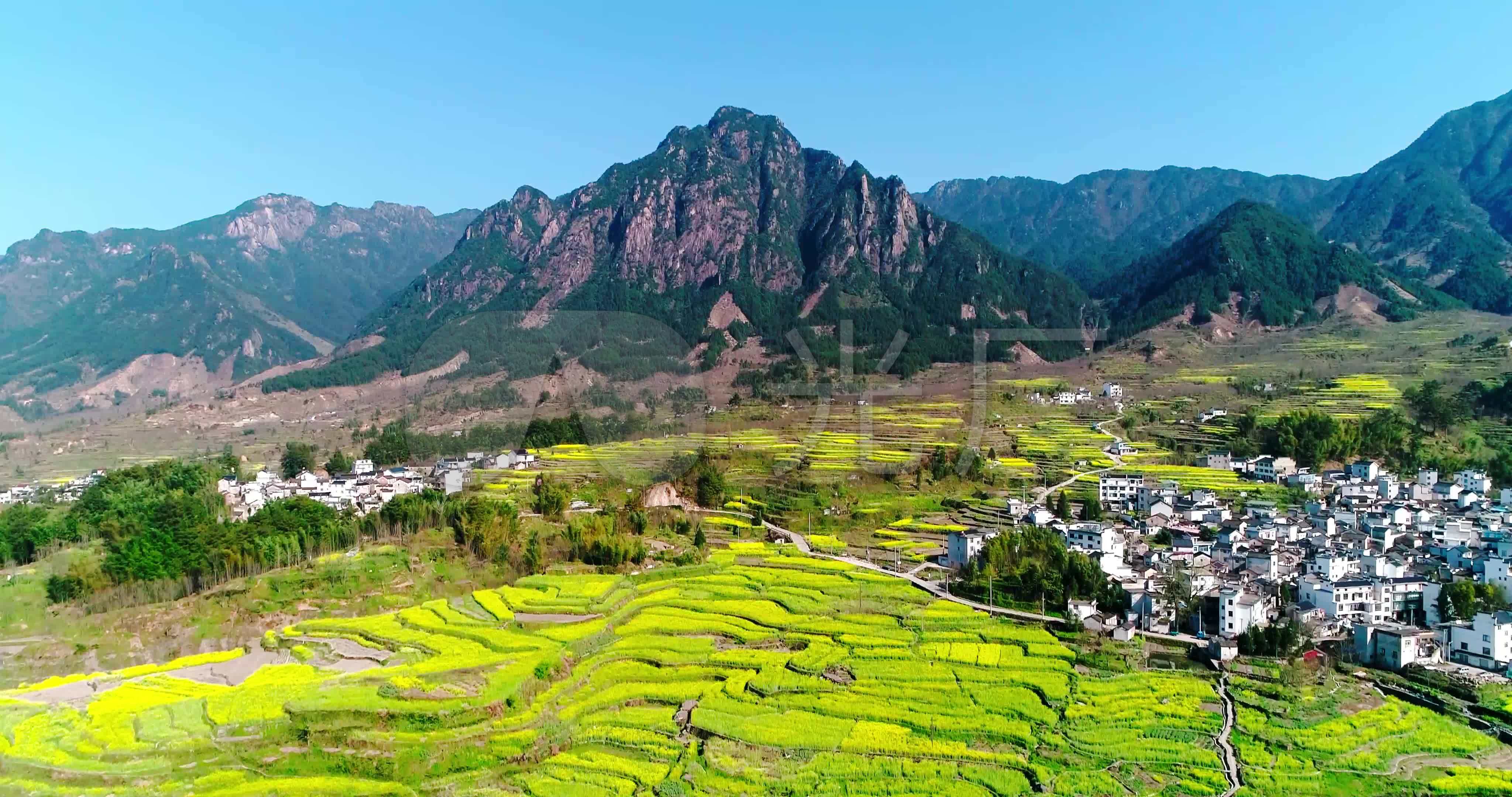 航拍安徽绩溪家朋乡梅干岭油菜花海
