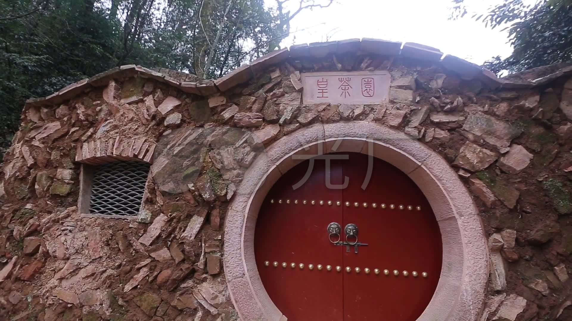 蒙顶山皇茶园许愿树094