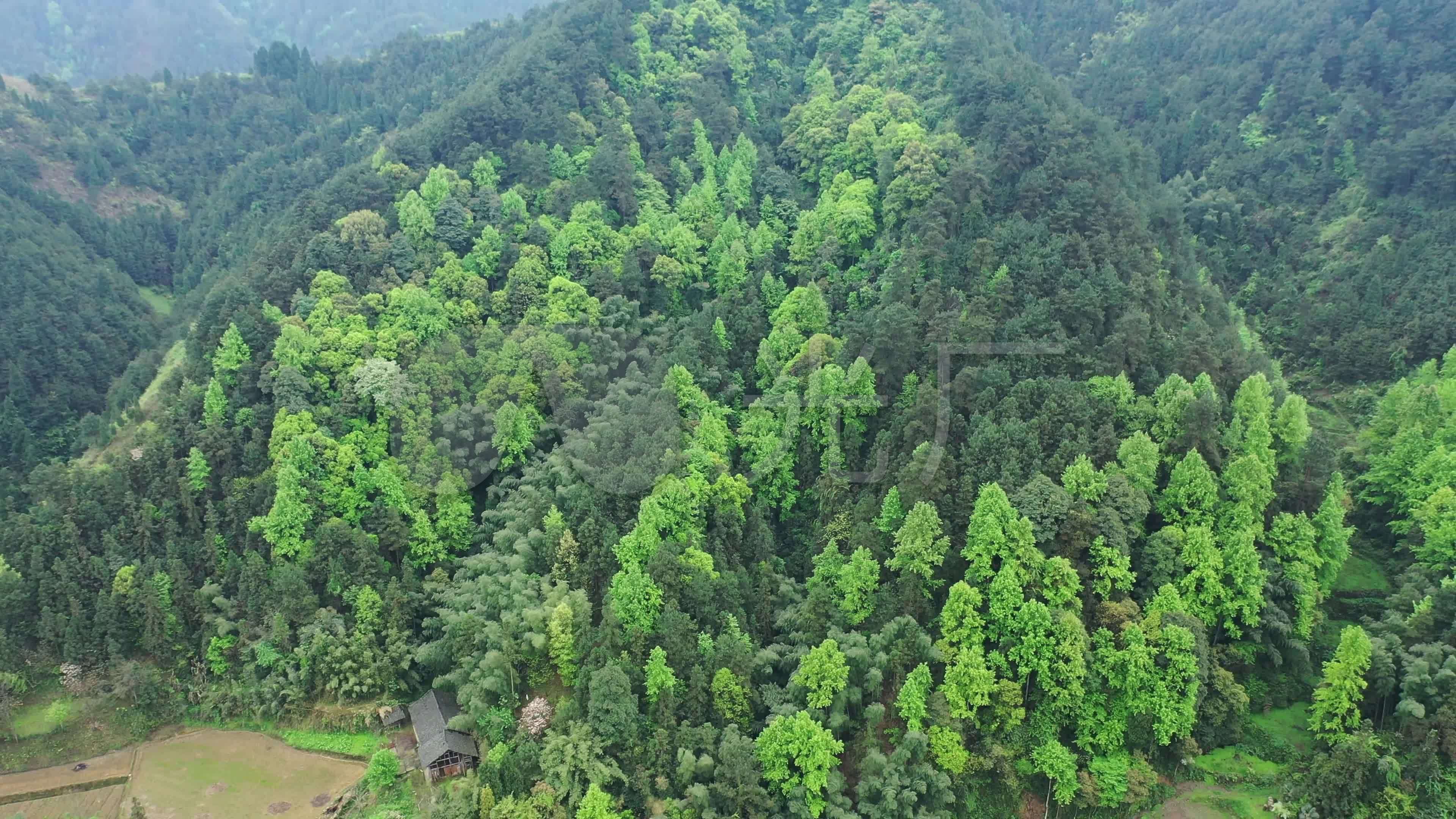 4k航拍农村森林氧吧春天远景_3840x2160_高清视频素材