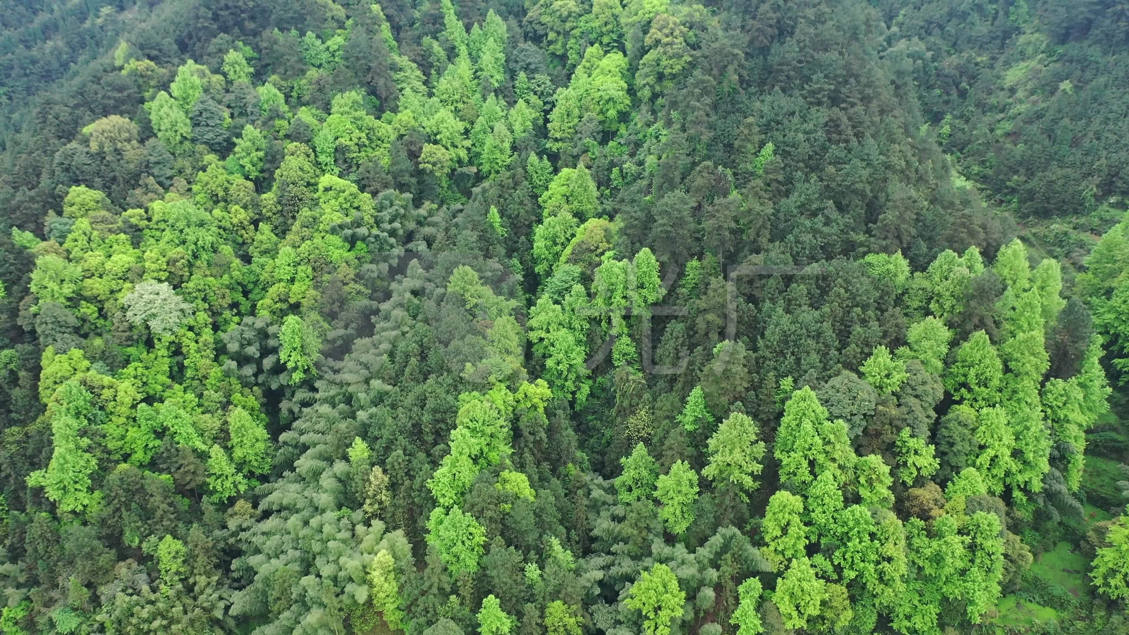 4k航拍农村森林氧吧春天远景_3840x2160_高清视频素材