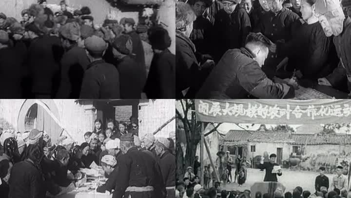 农业生产合作社   50年代合作社 加入合作社农户
