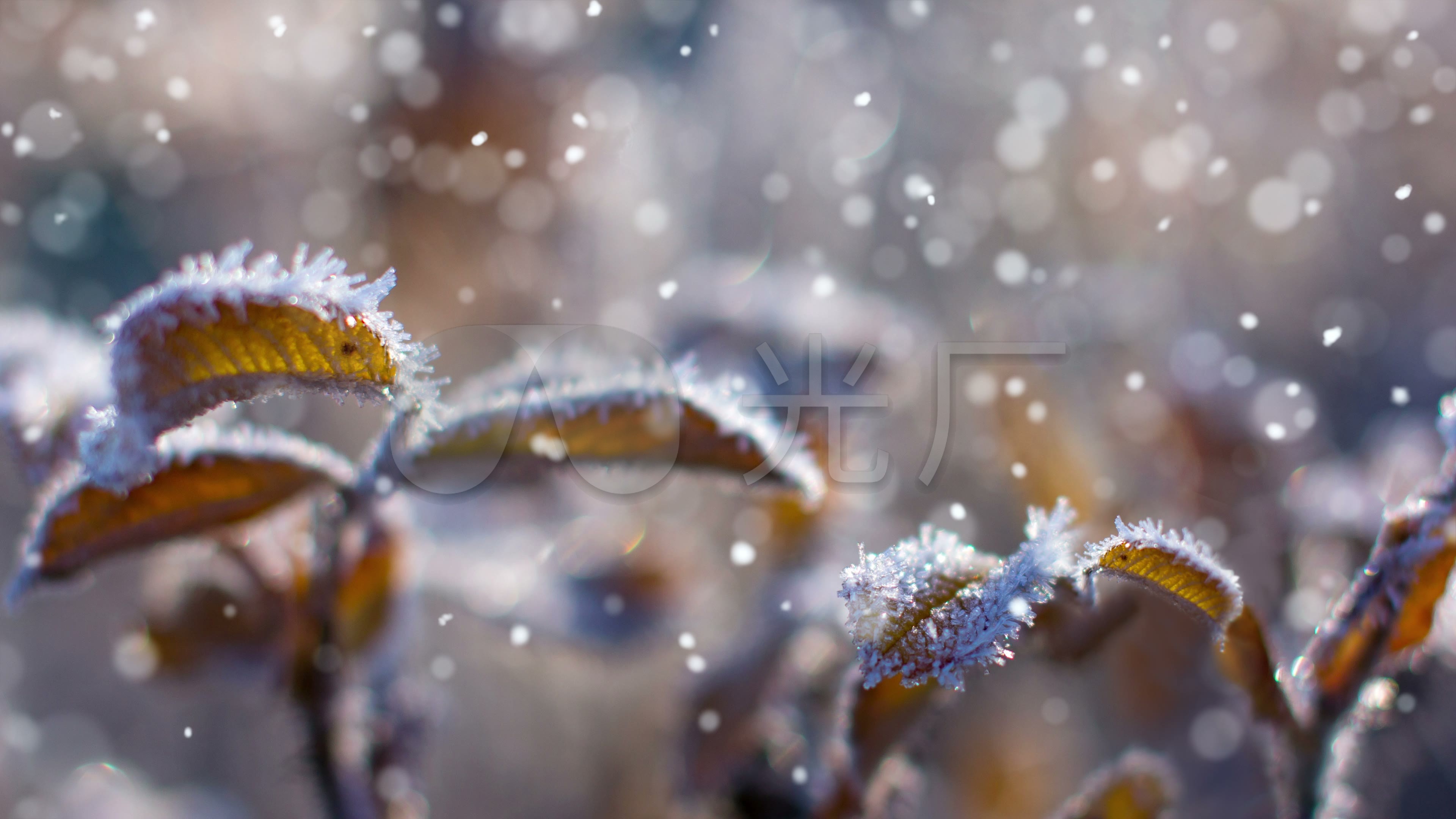 秋季第一场雪_3840x2160_高清视频素材下载(编号:5714743)_舞台背景