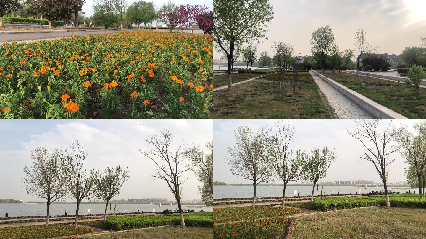 天津南湖公园