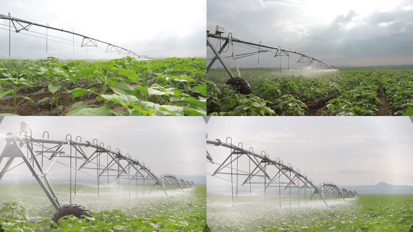 农田灌溉农业洒水
