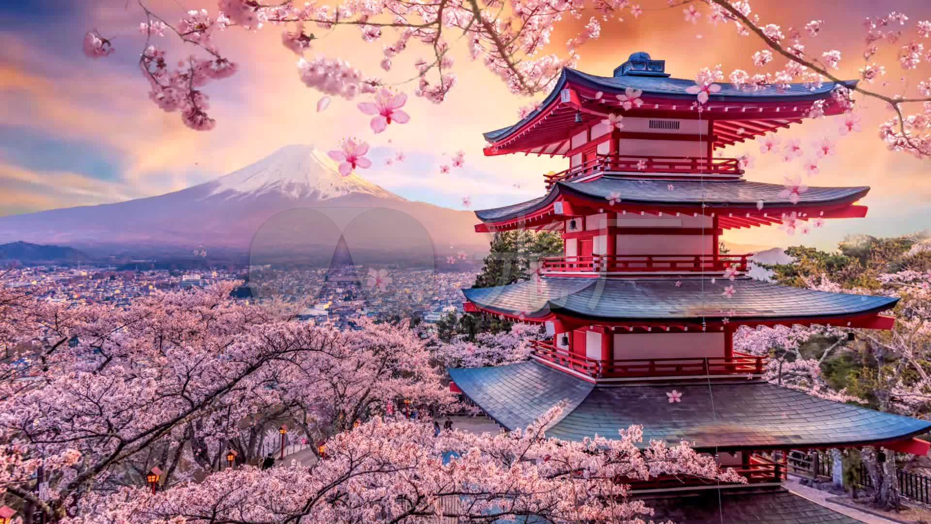 唯美樱花富士山