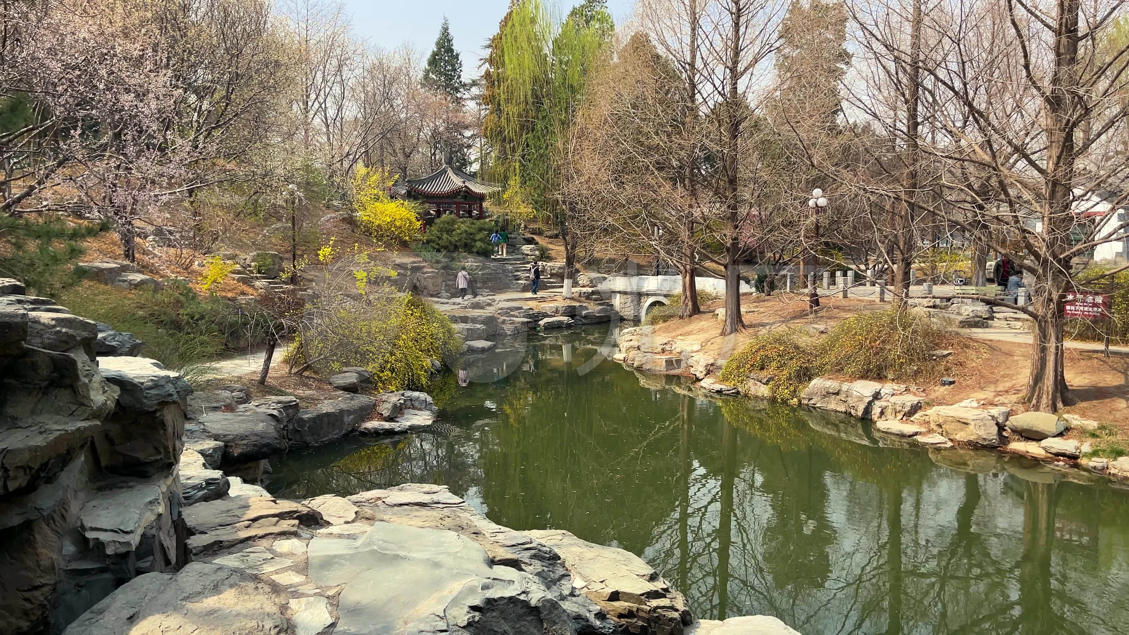 原创拍摄北京中山公园春天景色_3840x2160_高清视频