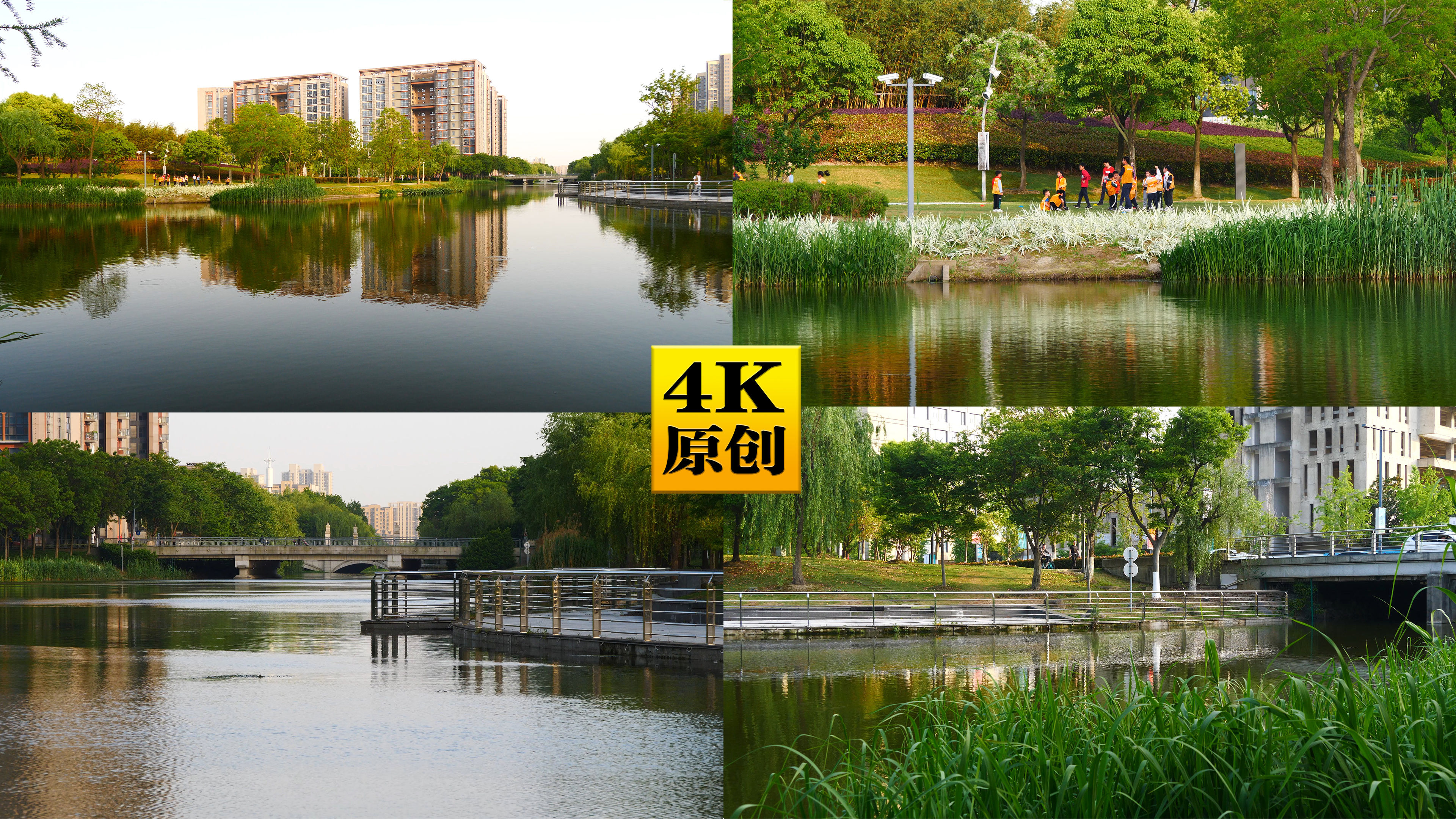 4k原创)城市公园河流水岸树林森林湖泊