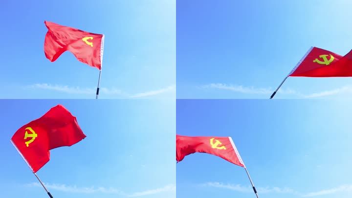 手持党旗舞动
