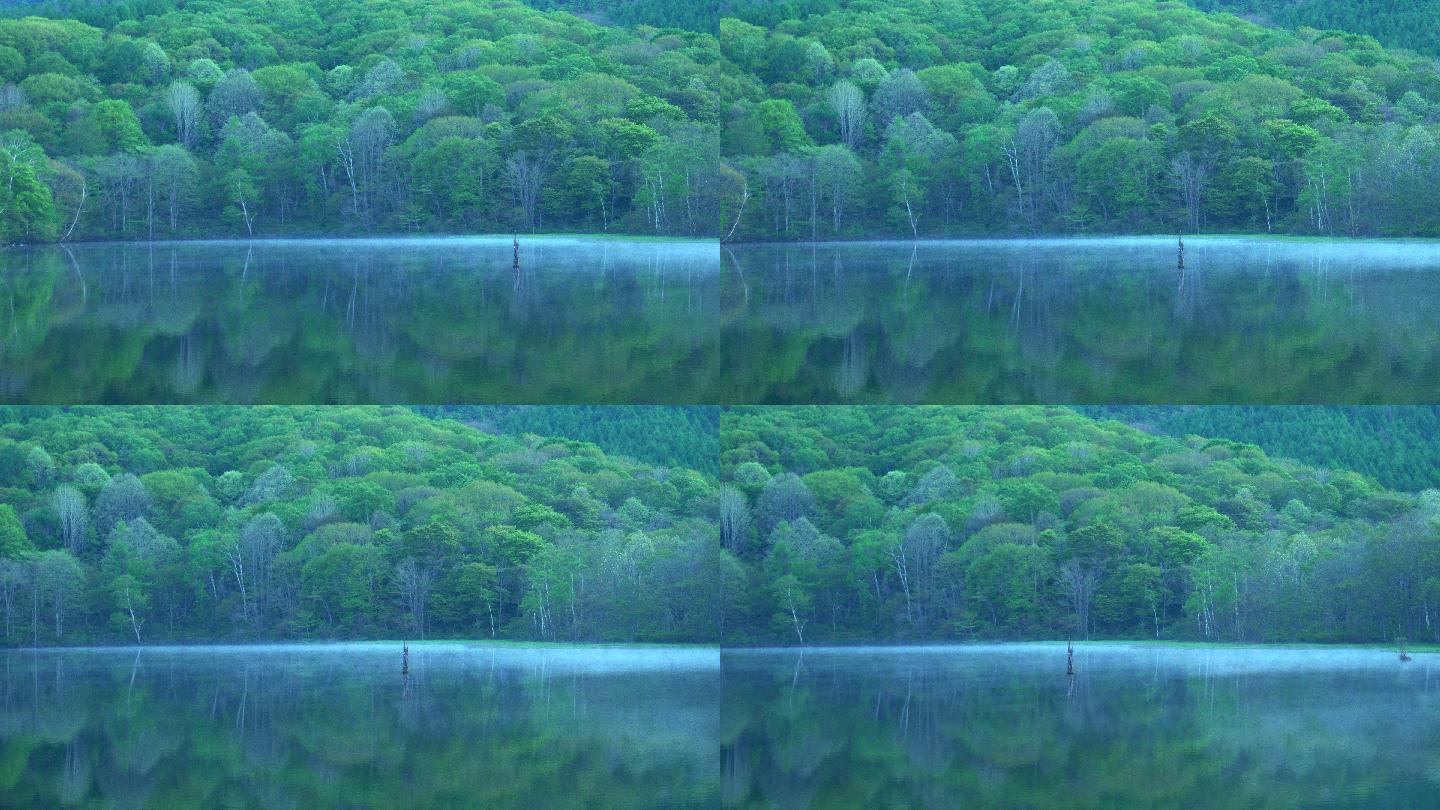 自然美景_3840x2160_高清视频素材下载(编号:5780865)_实拍视频_光厂