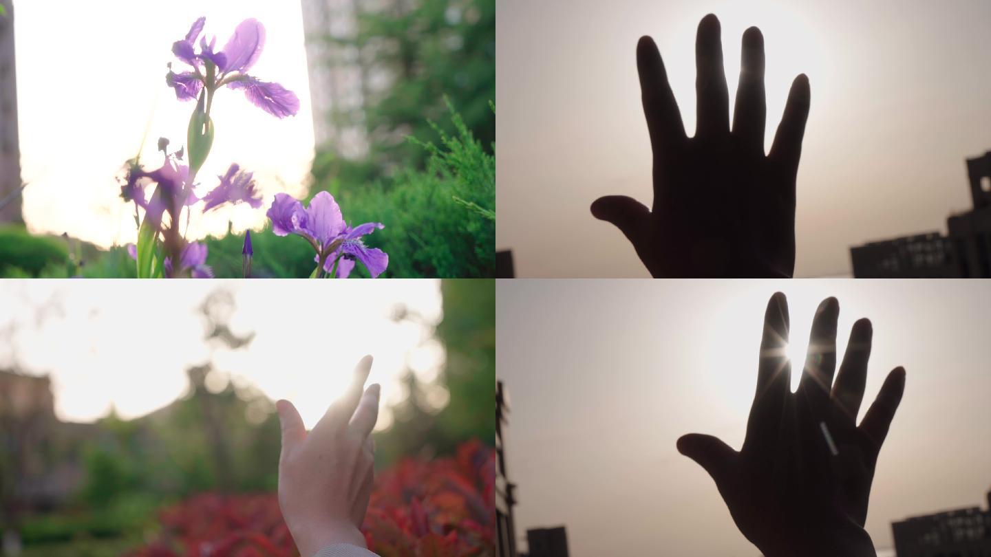 4k情绪空镜手指阳光-时光从指缝间流逝