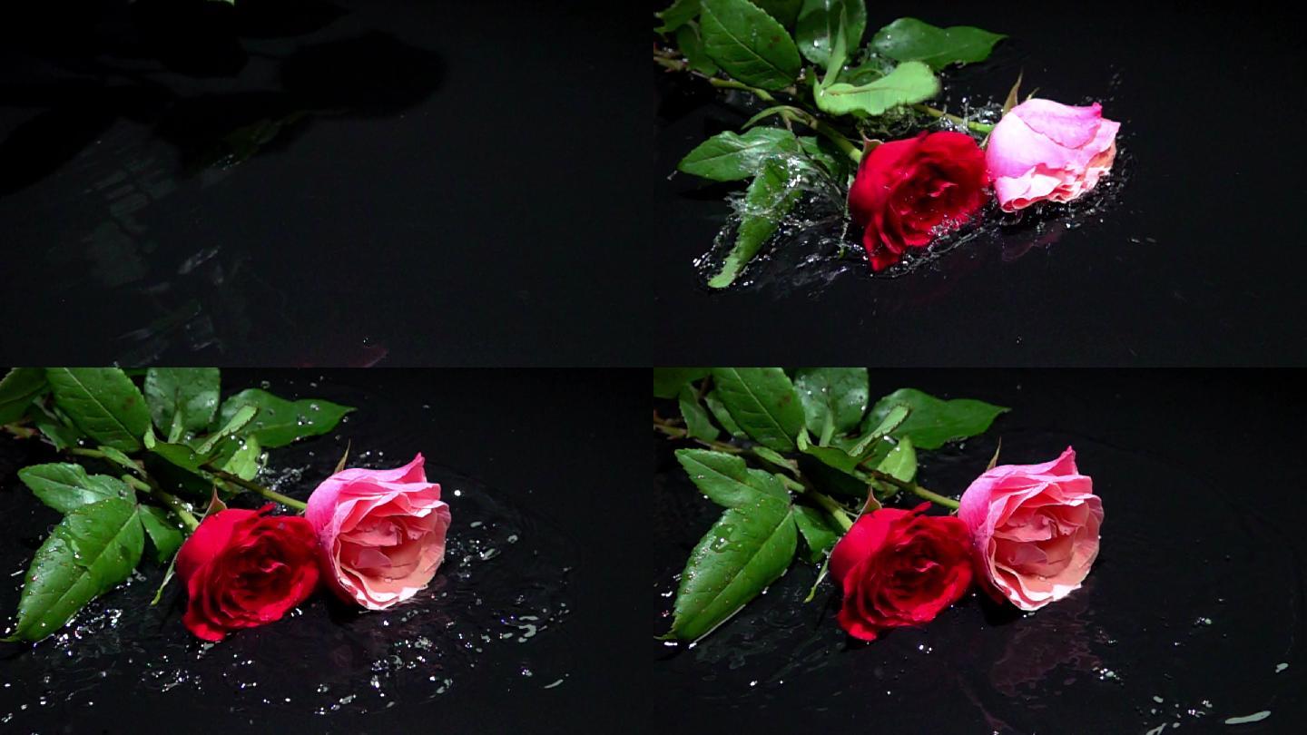 丢落水中的玫瑰花_1920x1080_高清视频素材下载(编号