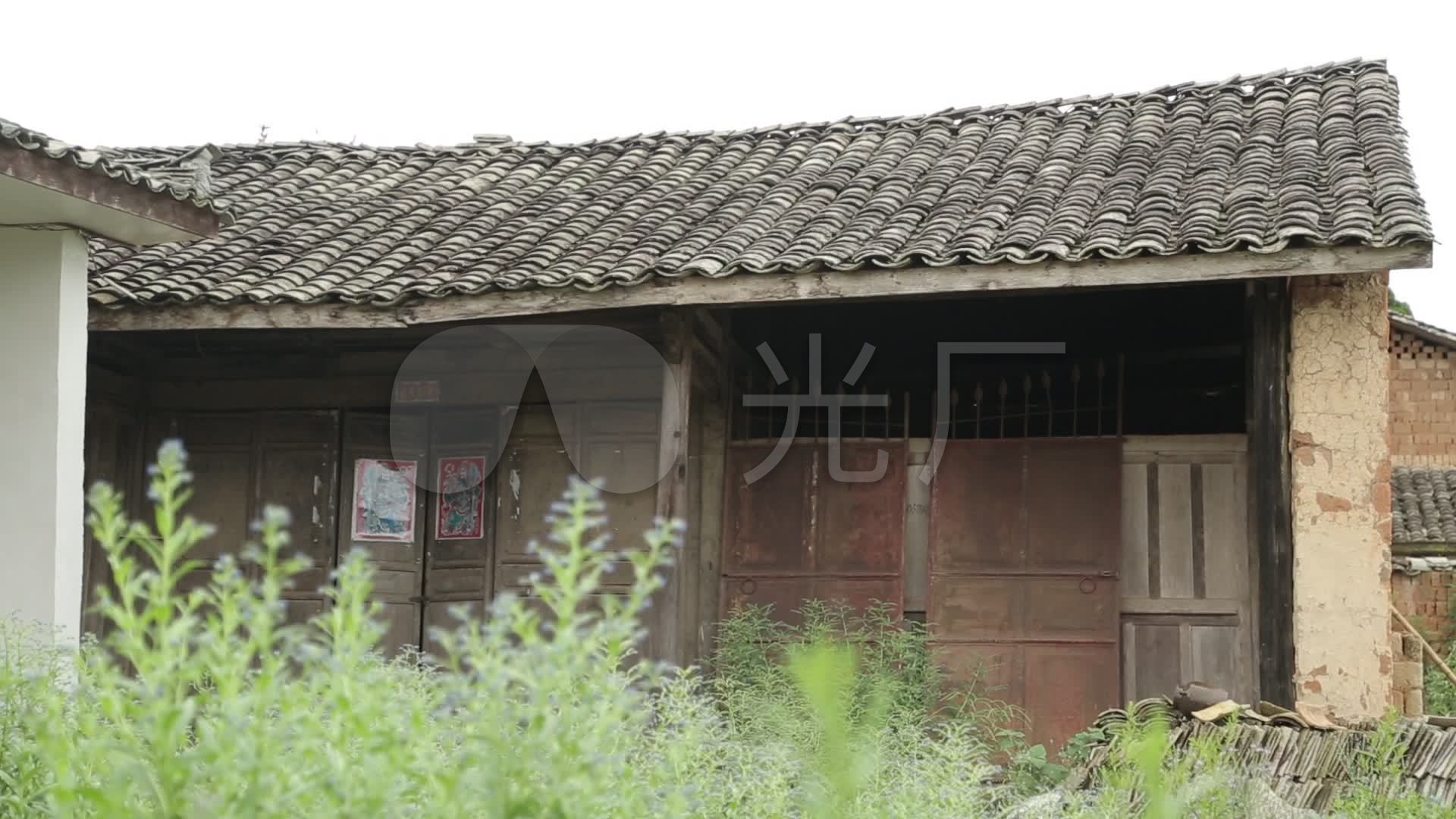 高清农村破旧老瓦房杂草丛生贫穷