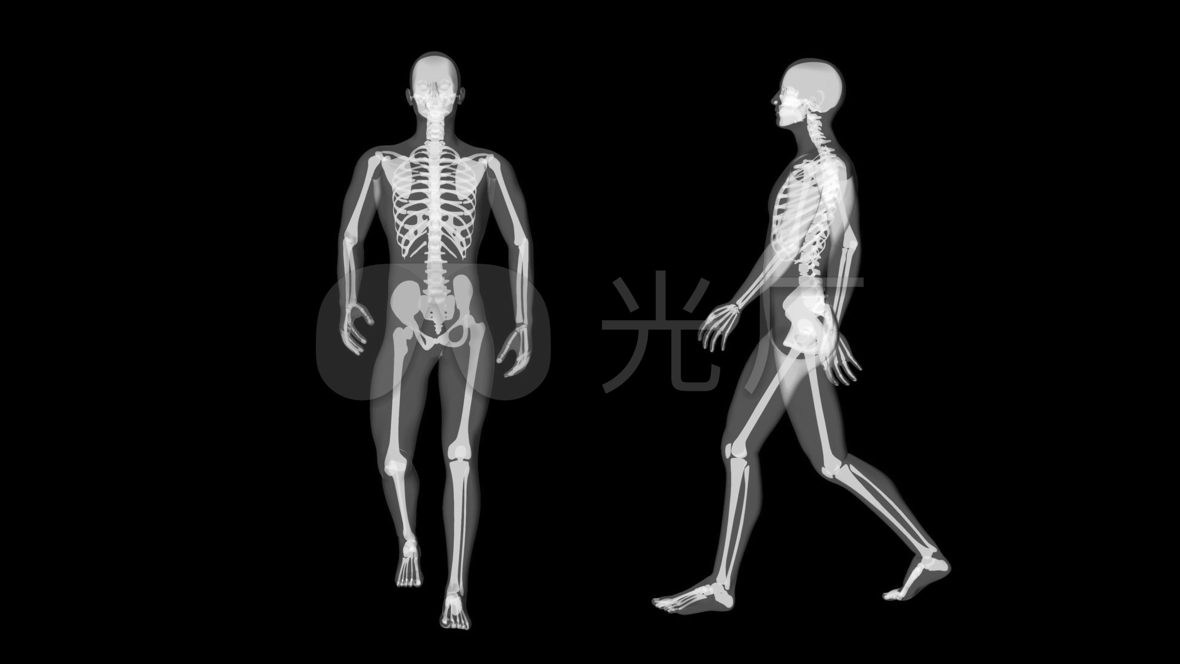 黑白人体x光_3840x2160_高清视频素材下载(编号:5809187)_影视包装_vj