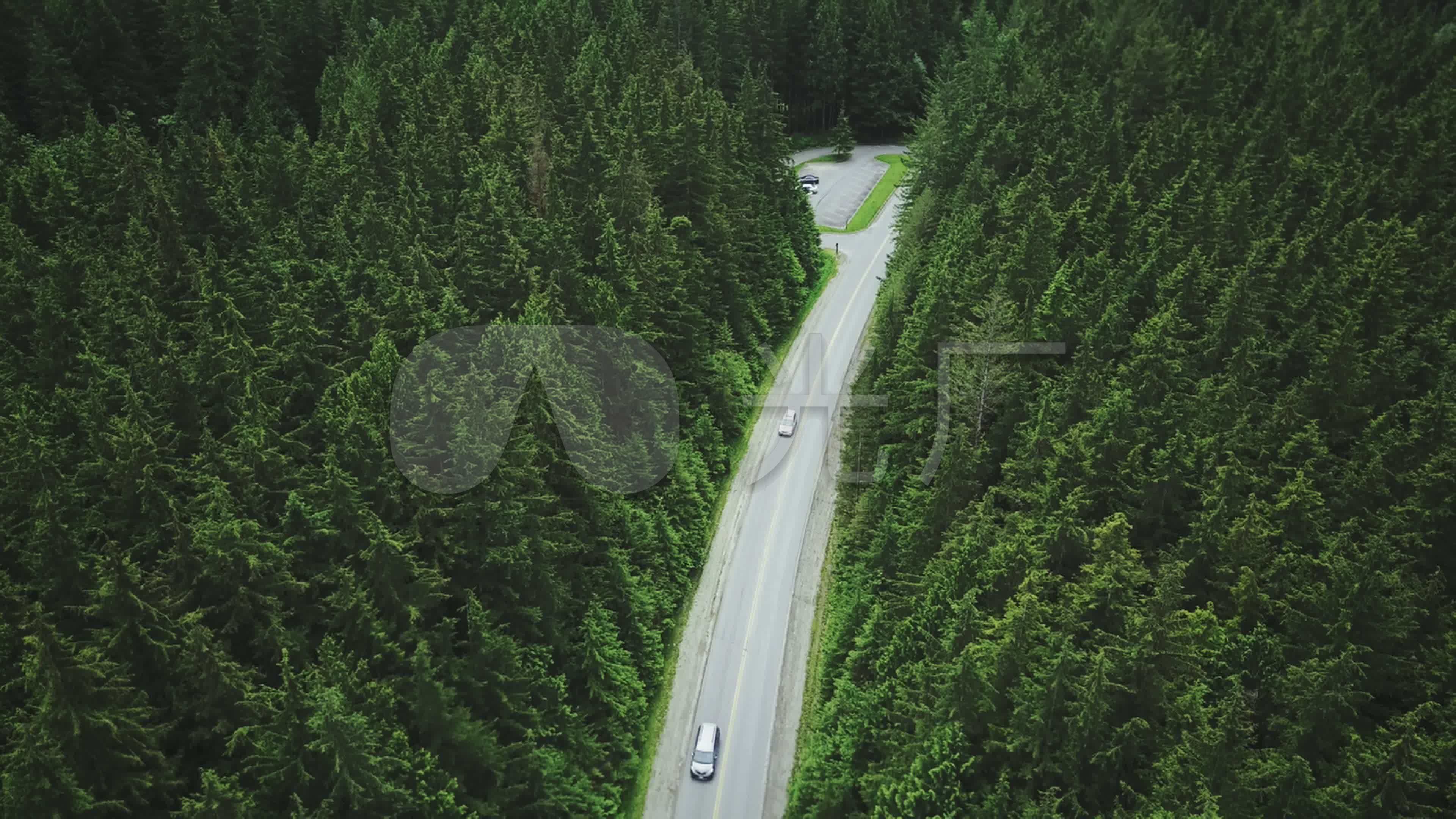 森林公路鸟瞰图_3840x2160_高清视频素材下载(编号:5808213)_实拍视频