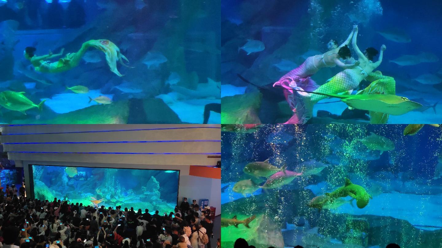 水族馆美人鱼表演