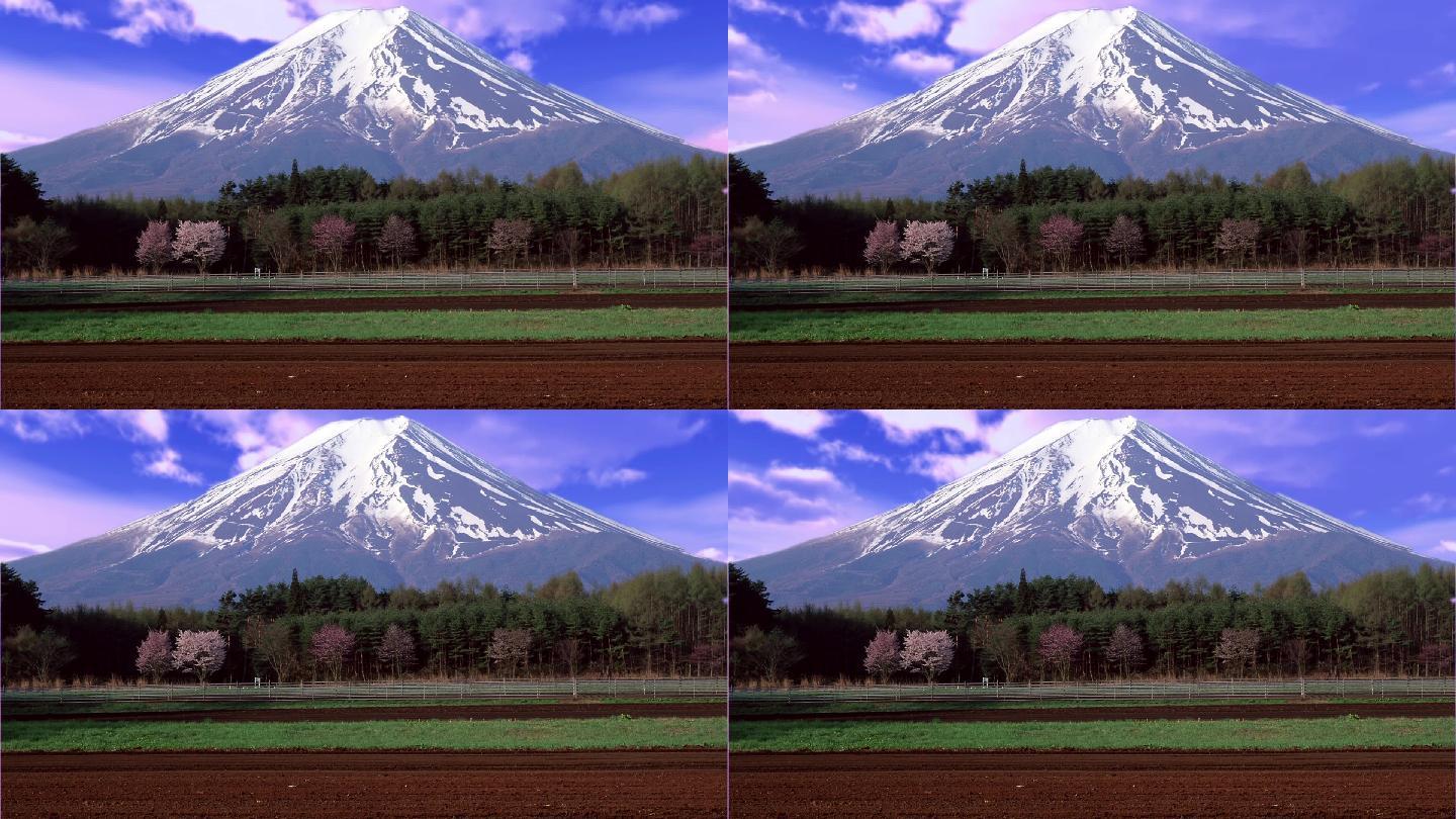 日本富士山 风景 蓝天白云 舞台背景
