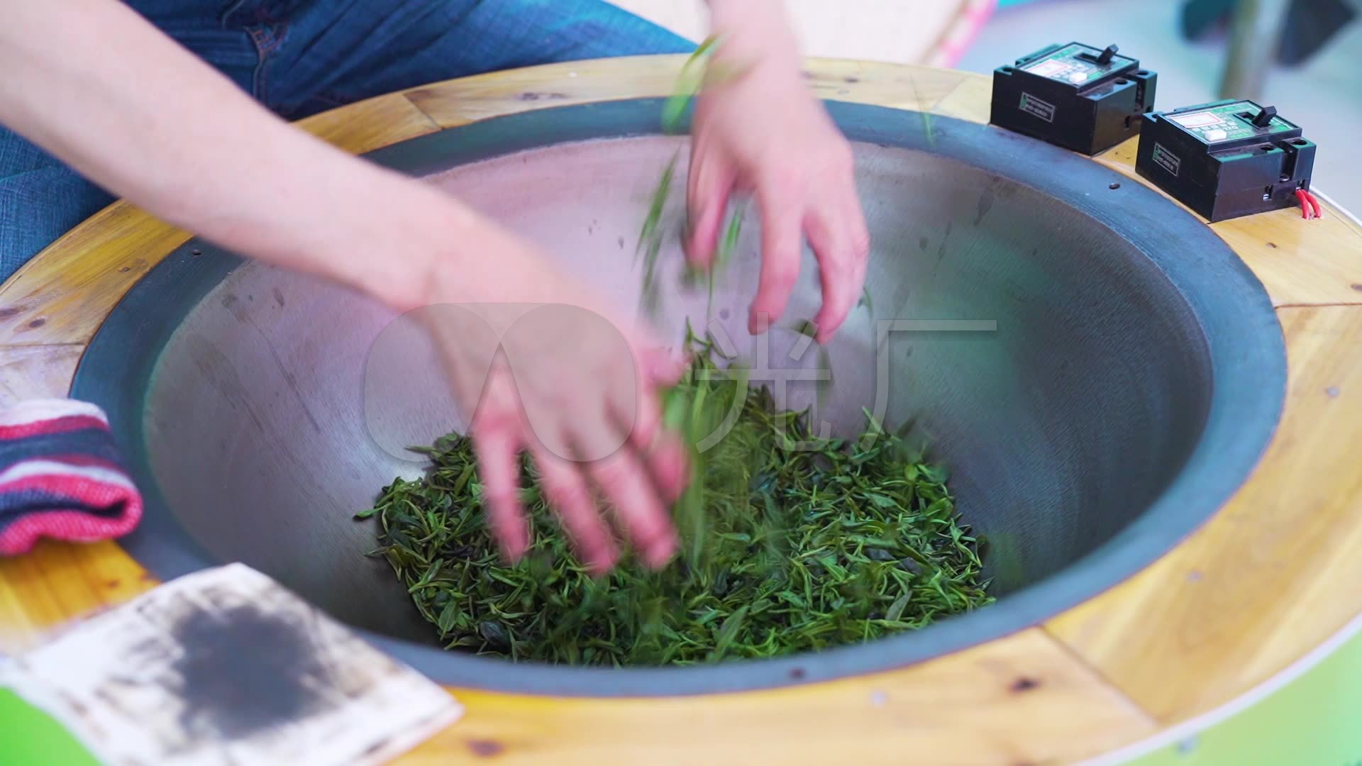 炒茶炒青茶叶春茶新鲜茶叶嫩芽
