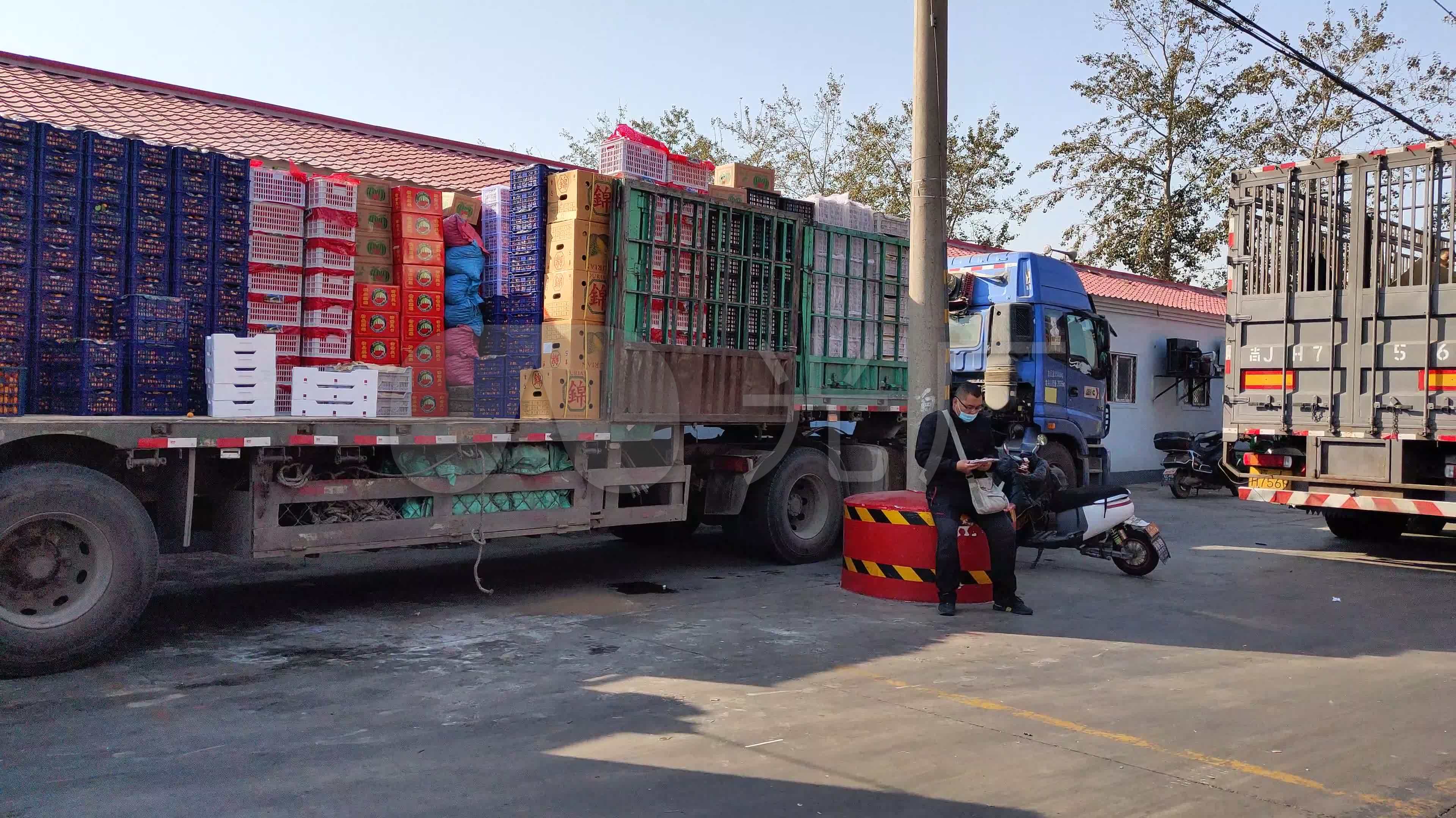 批发市场装车卸货大货车水果生鲜