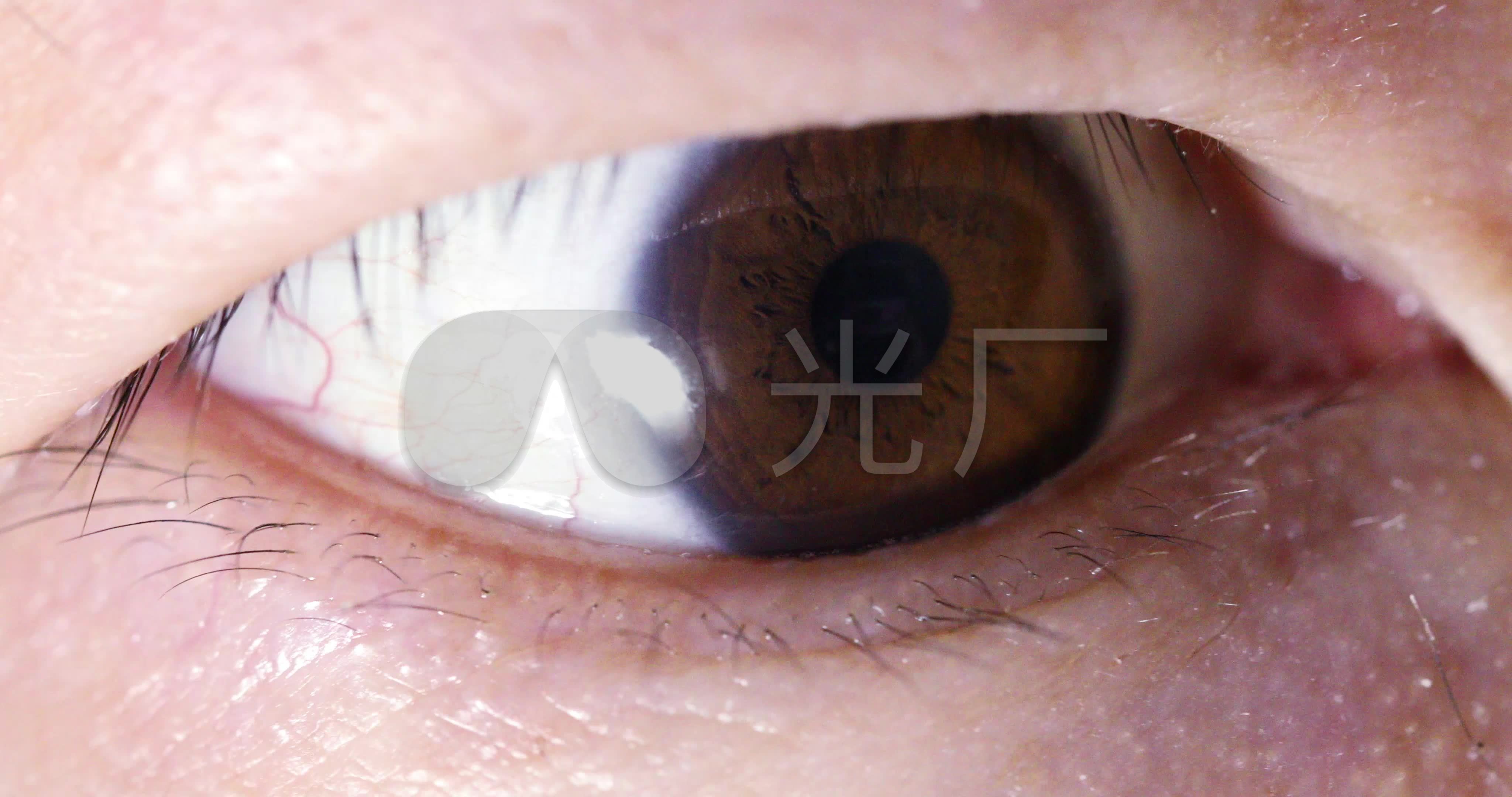 眼睛特写眼珠眼球瞳孔
